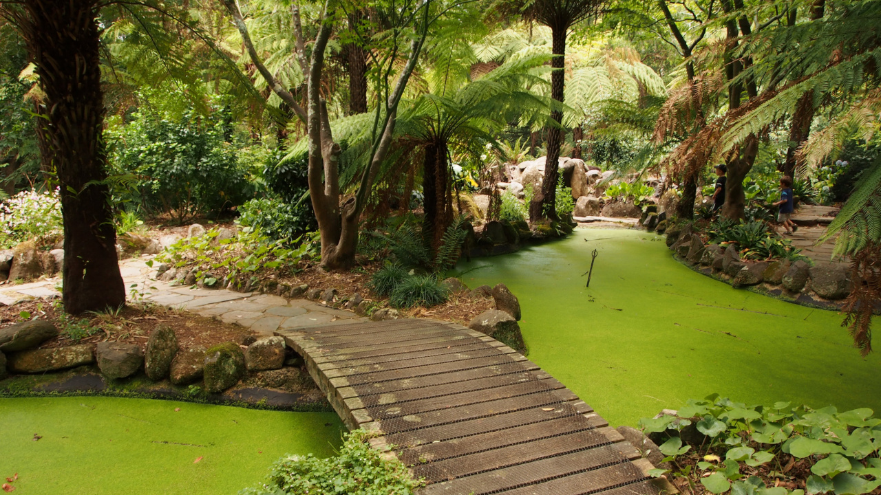 Brown Wooden Pathway in Between Green Grass and Trees. Wallpaper in 1280x720 Resolution