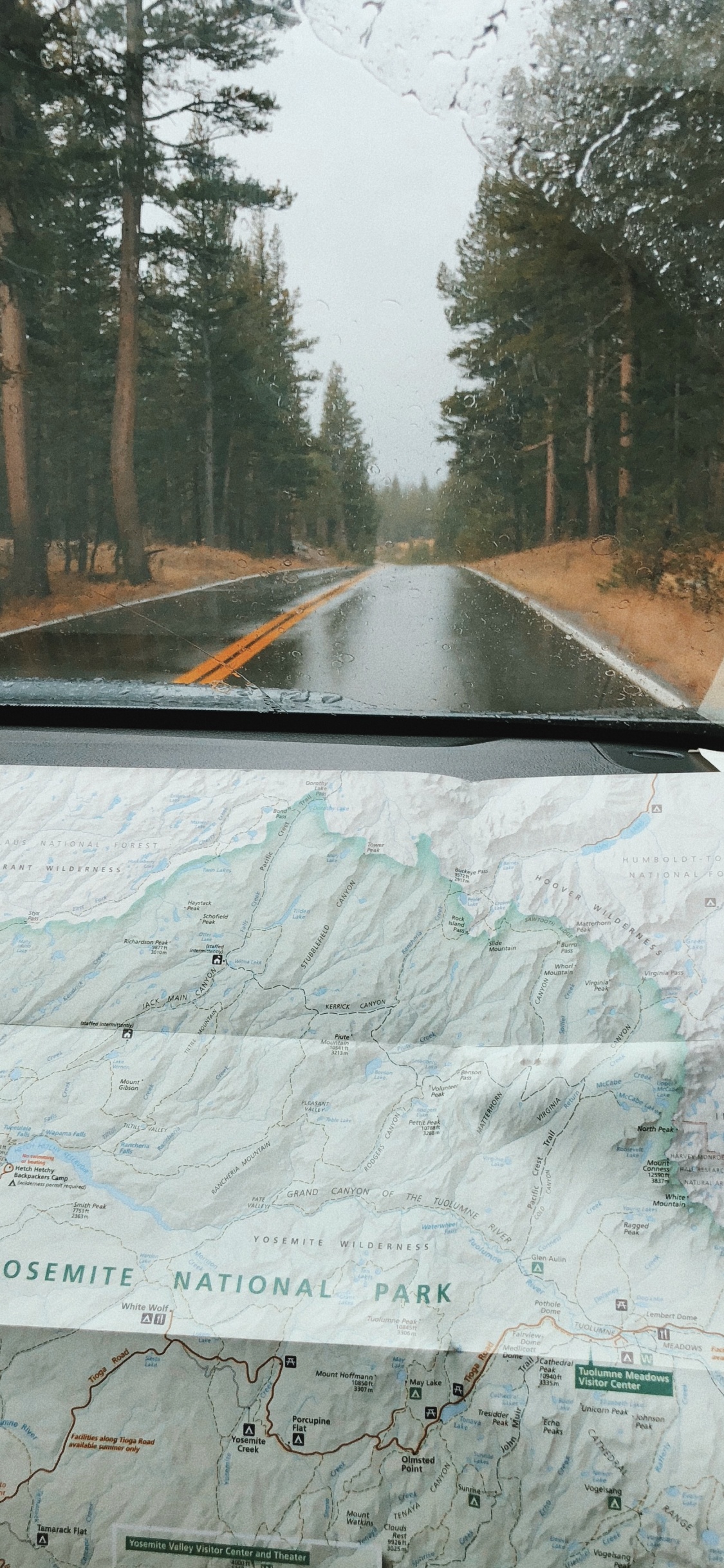 Road, Windschutzscheibe, Baum, Infrastruktur, Automobil-Fenster Teil. Wallpaper in 1125x2436 Resolution