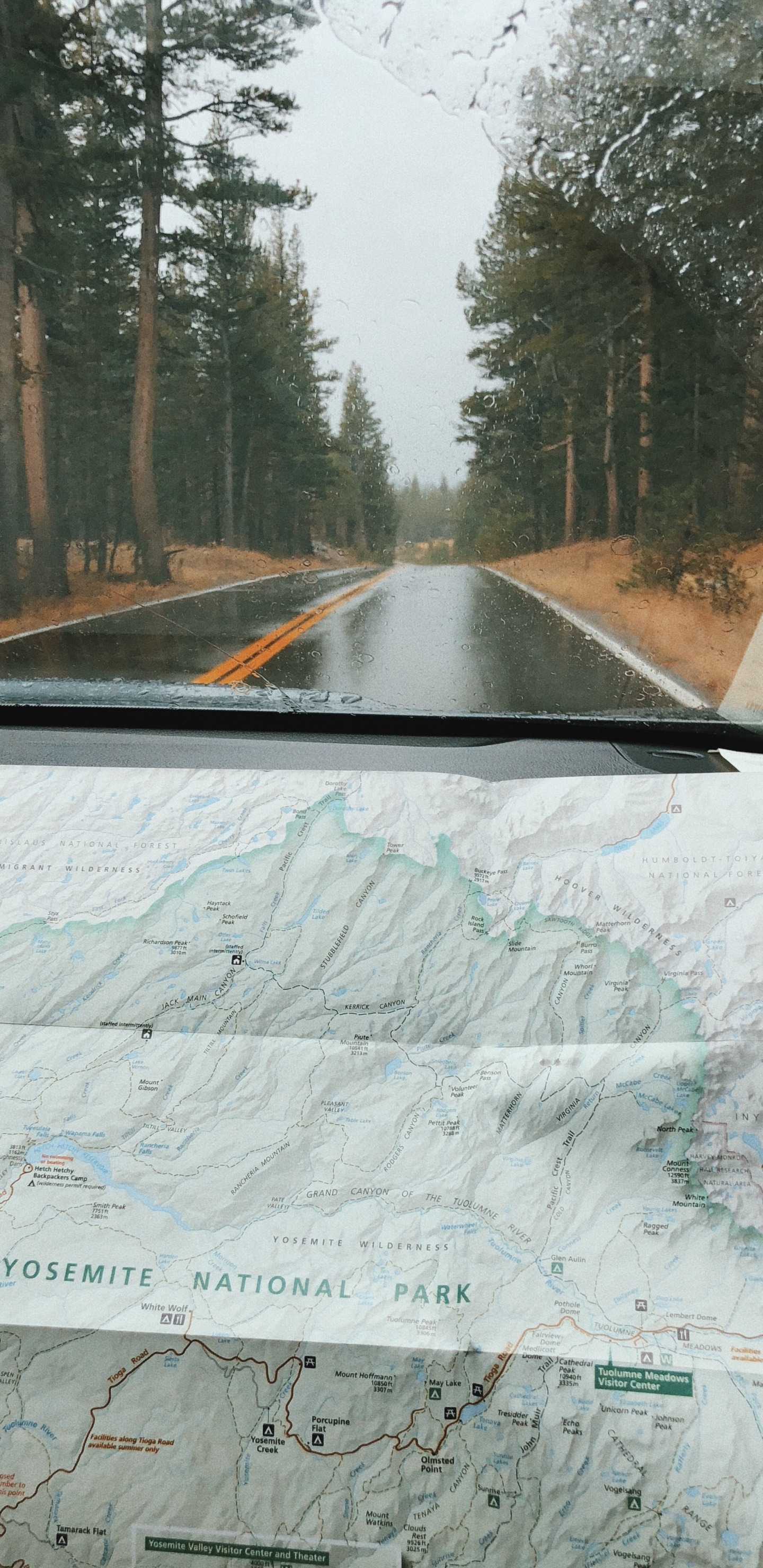 Road, Windschutzscheibe, Baum, Infrastruktur, Automobil-Fenster Teil. Wallpaper in 1440x2960 Resolution