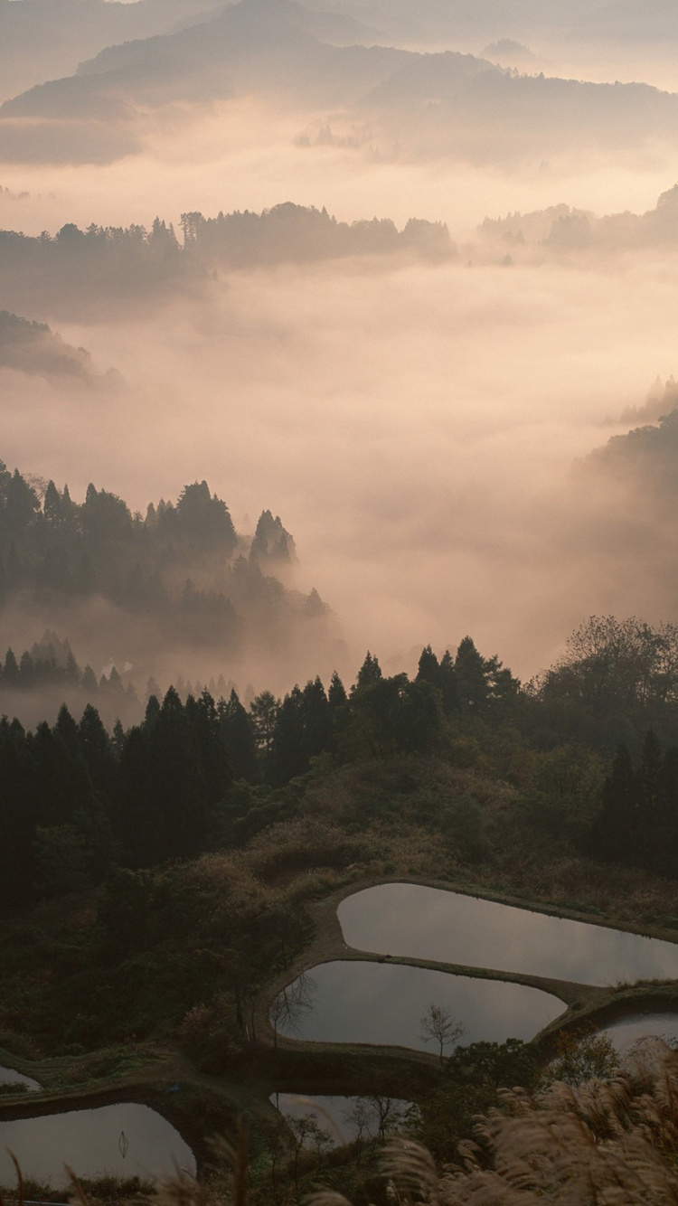 Weißes Boot Auf Grünem Grasfeld in Der Nähe Von Grünen Bäumen Tagsüber. Wallpaper in 750x1334 Resolution