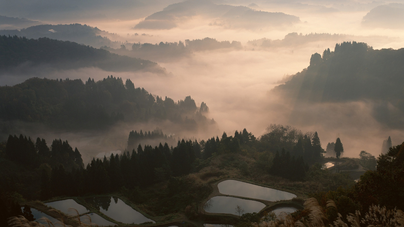 White Boat on Green Grass Field Near Green Trees During Daytime. Wallpaper in 1366x768 Resolution