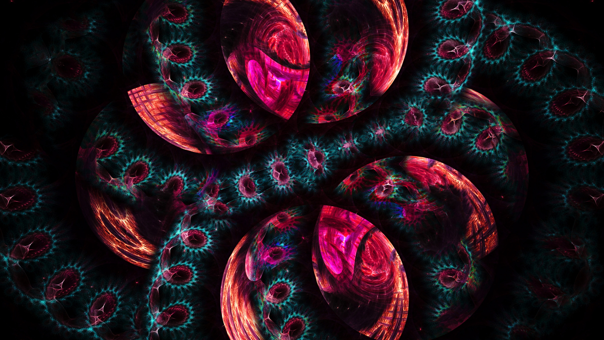 Red and Black Abstract Painting. Wallpaper in 2560x1440 Resolution