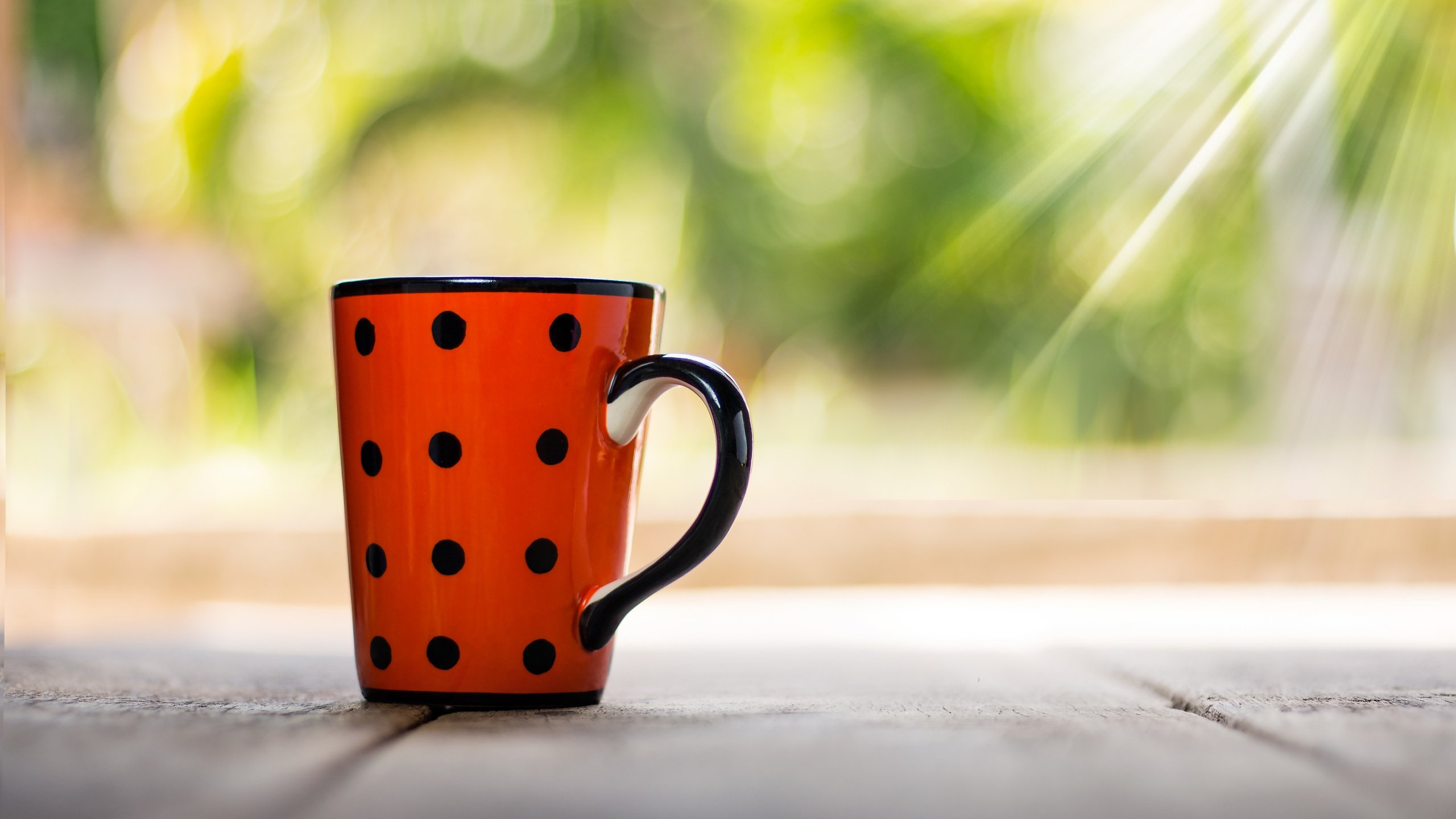 Red and White Polka Dot Ceramic Mug on White Table. Wallpaper in 2560x1440 Resolution