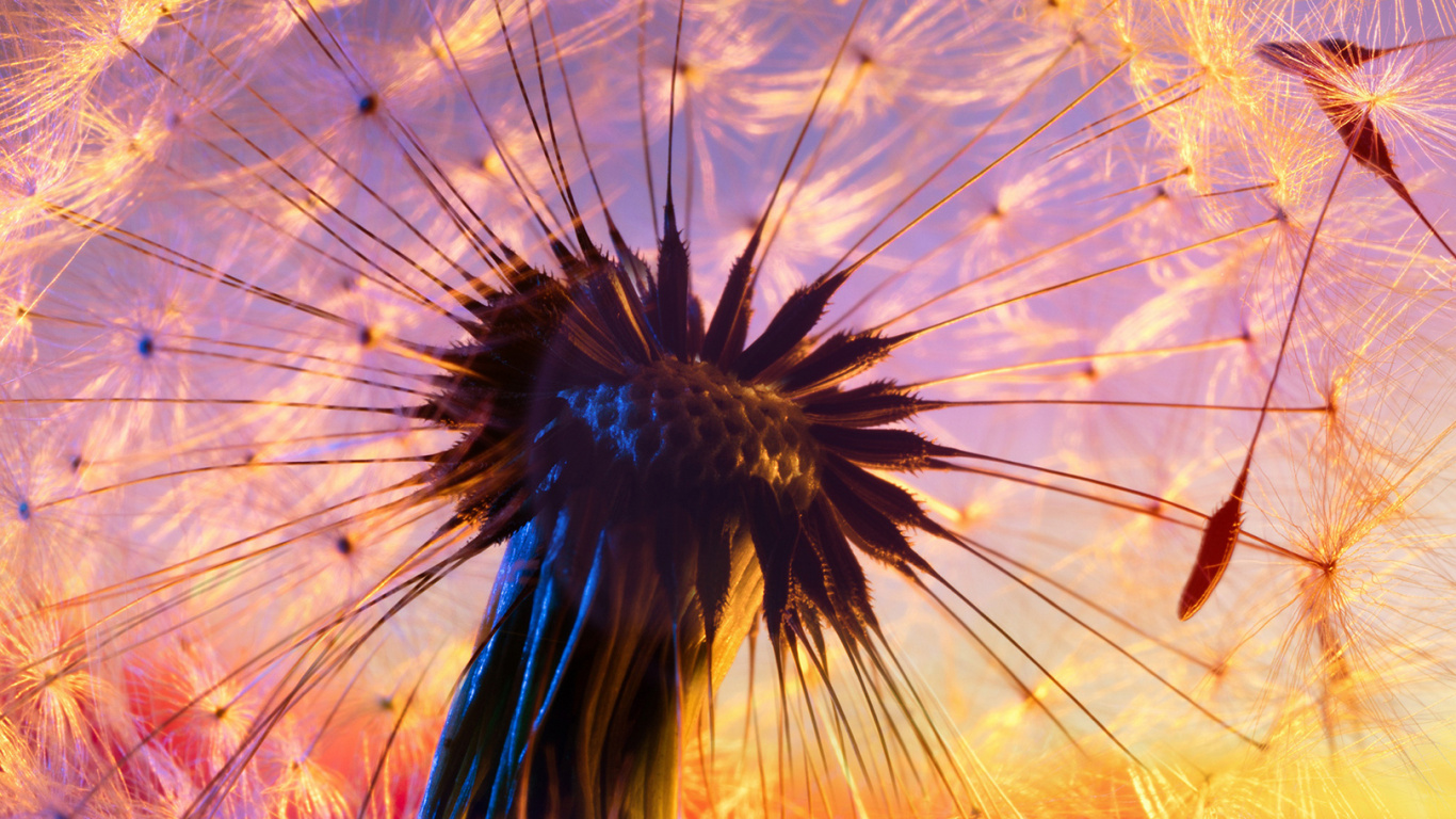 Soundcloud, Being Nothing, Cosmic Jam, Lagoon Sunrise, Vargelis. Wallpaper in 1366x768 Resolution