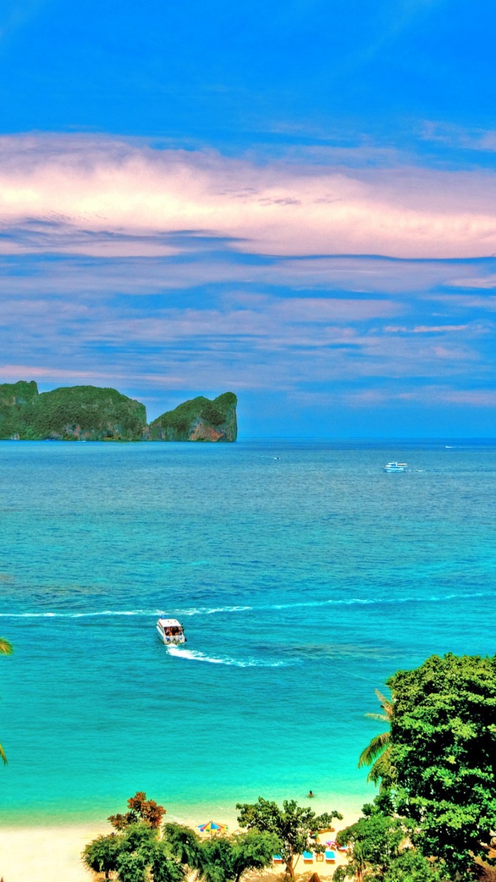 Árboles Verdes en la Isla Durante el Día. Wallpaper in 720x1280 Resolution