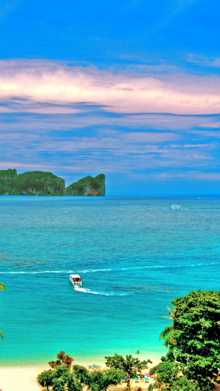 Green Trees on Island During Daytime. Wallpaper in 750x1334 Resolution
