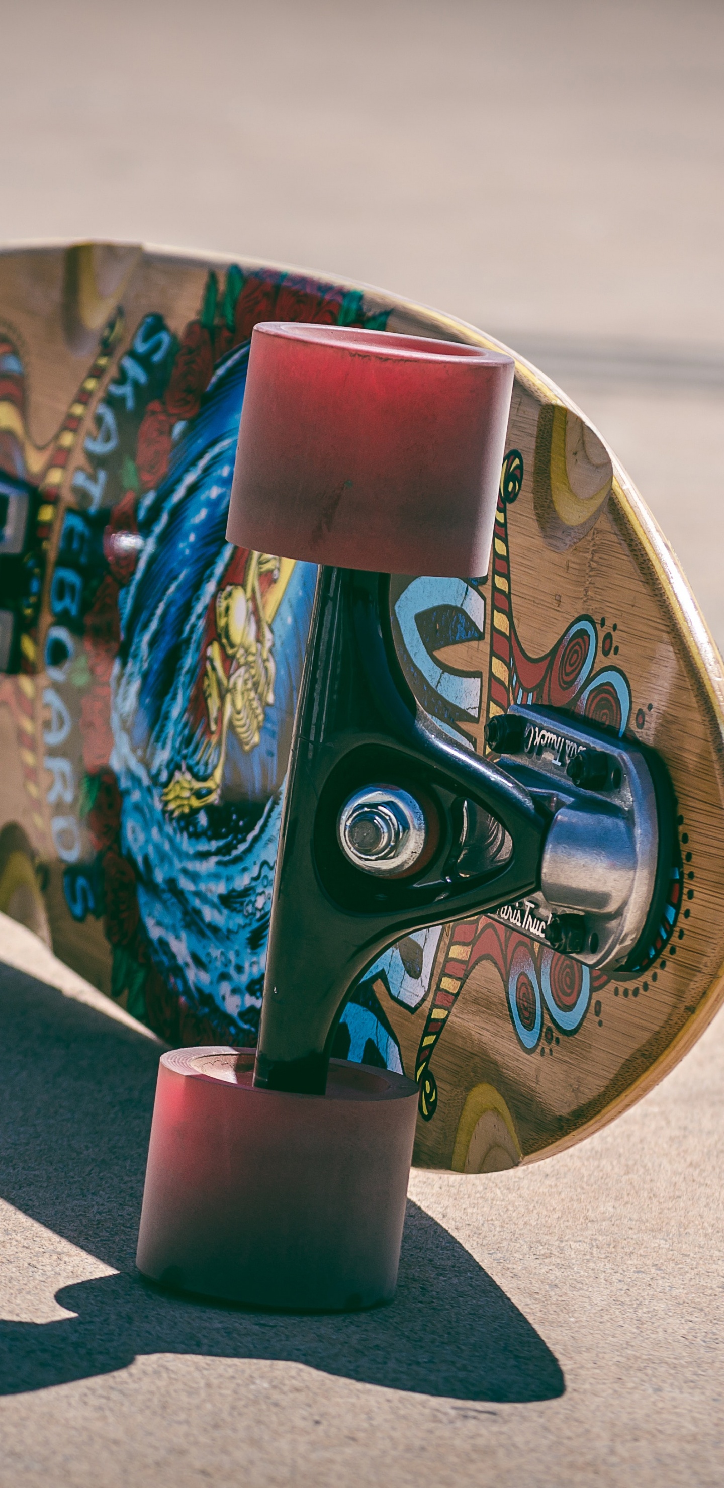 Blue and Brown Horse With Wing and Horse Print Skateboard. Wallpaper in 1440x2960 Resolution
