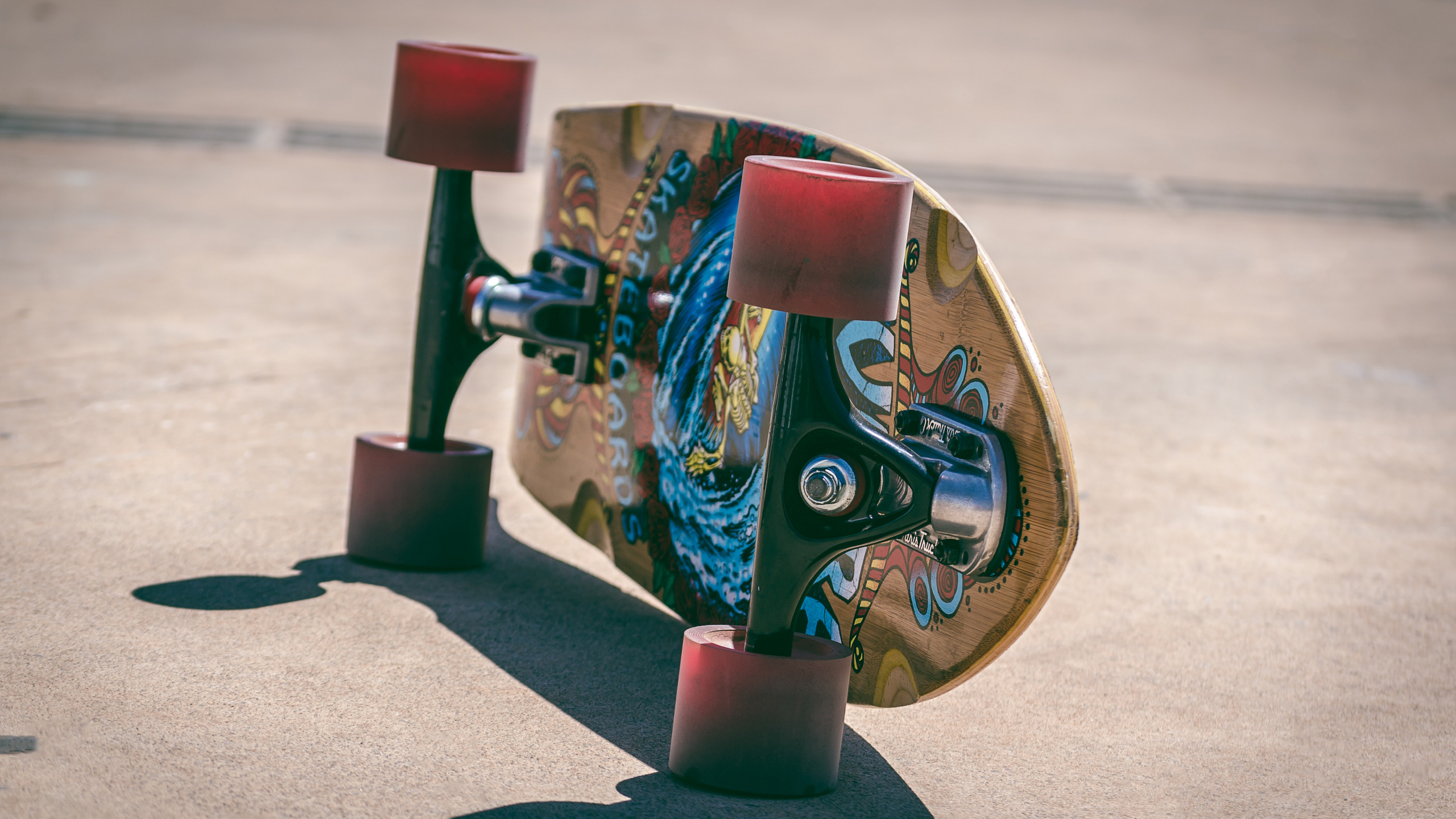 Blue and Brown Horse With Wing and Horse Print Skateboard. Wallpaper in 2560x1440 Resolution