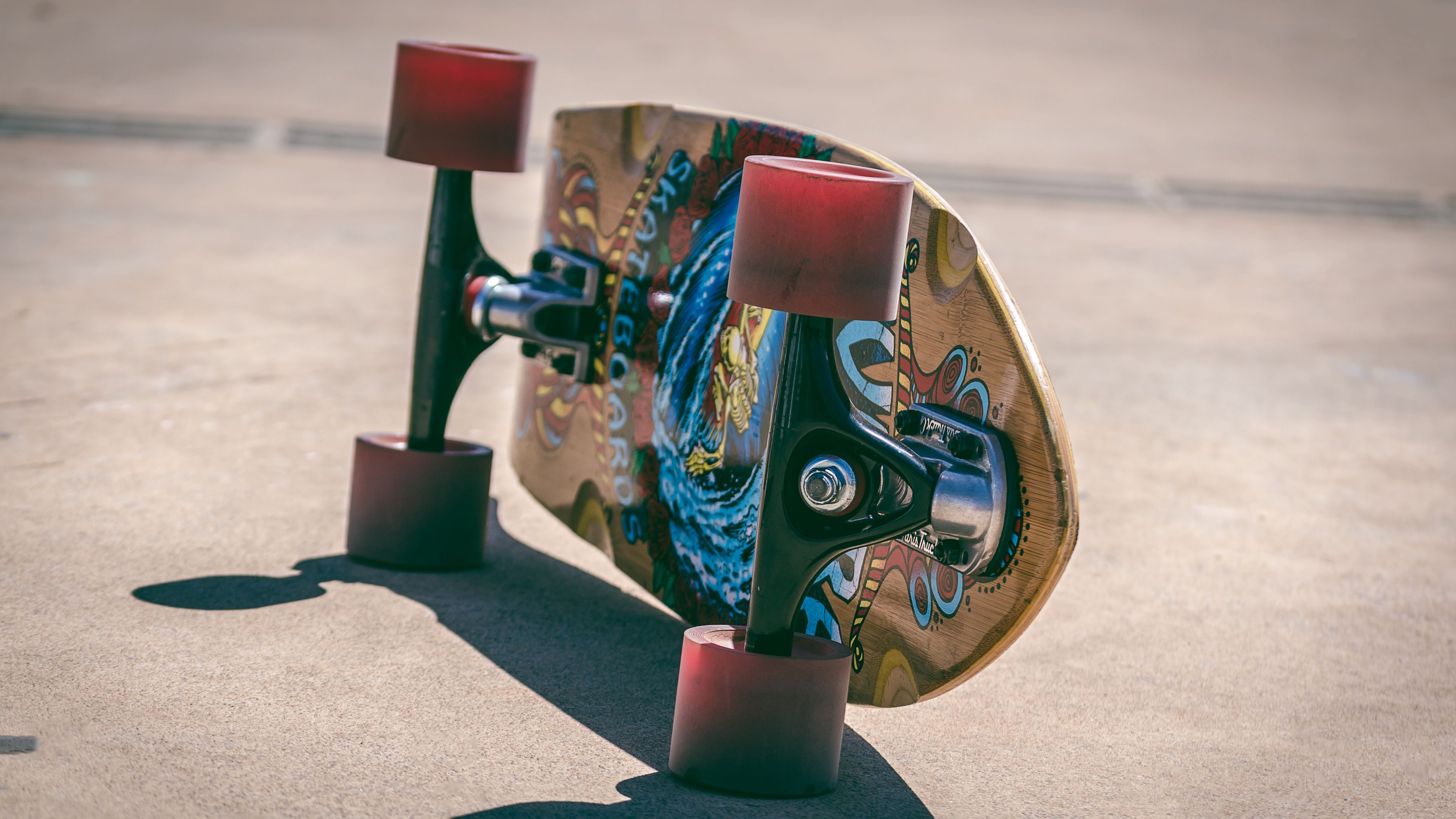 Blue and Brown Horse With Wing and Horse Print Skateboard. Wallpaper in 3840x2160 Resolution