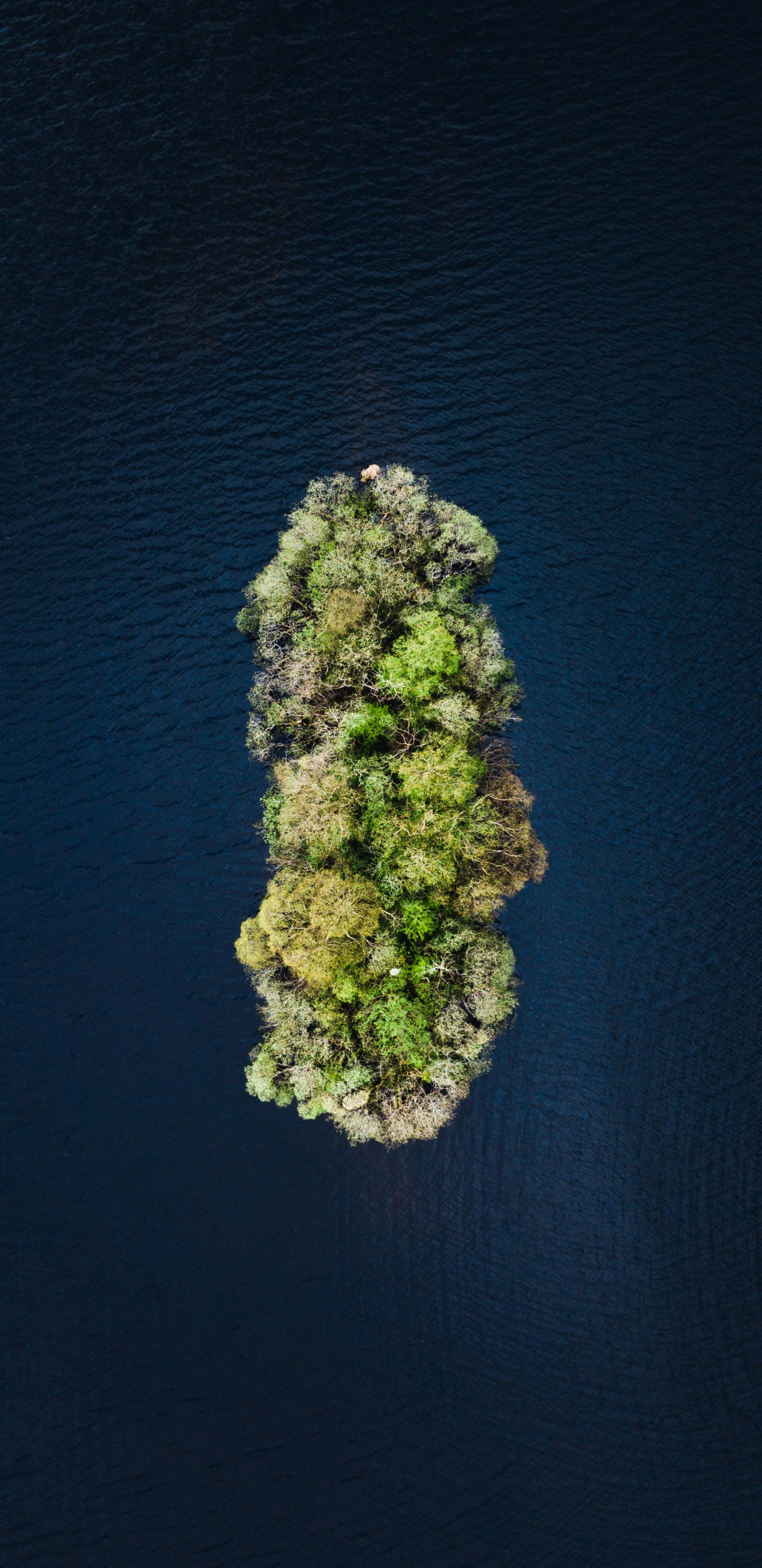 Agua, Verde, Metro, Espacio. Wallpaper in 1440x2960 Resolution