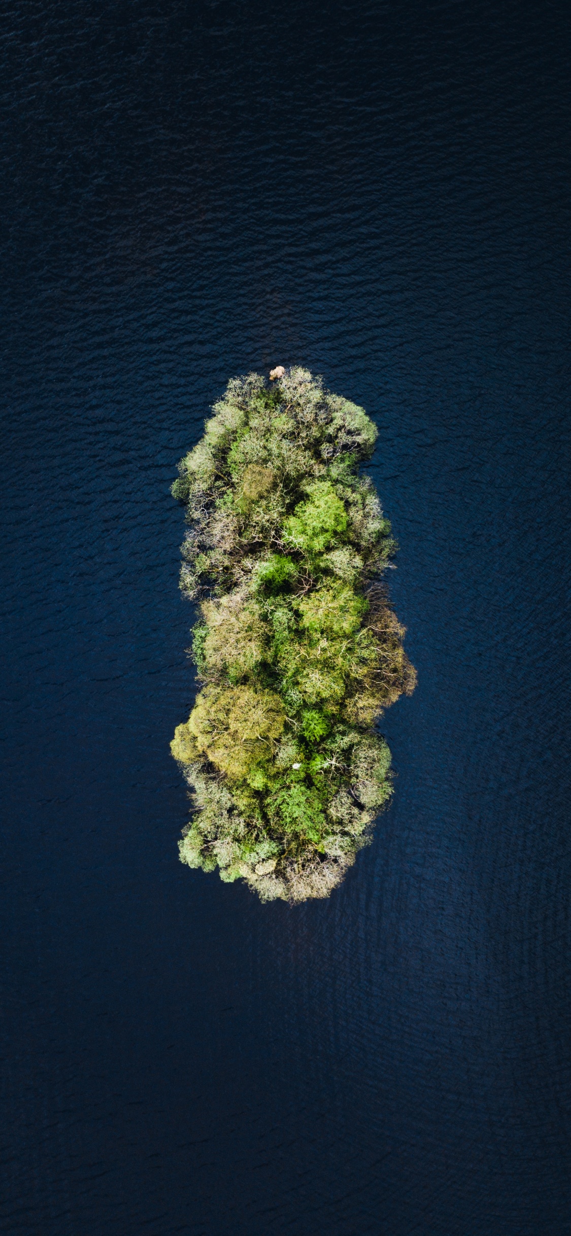 Eau, Green, Rock, Ciel, Mètre. Wallpaper in 1125x2436 Resolution