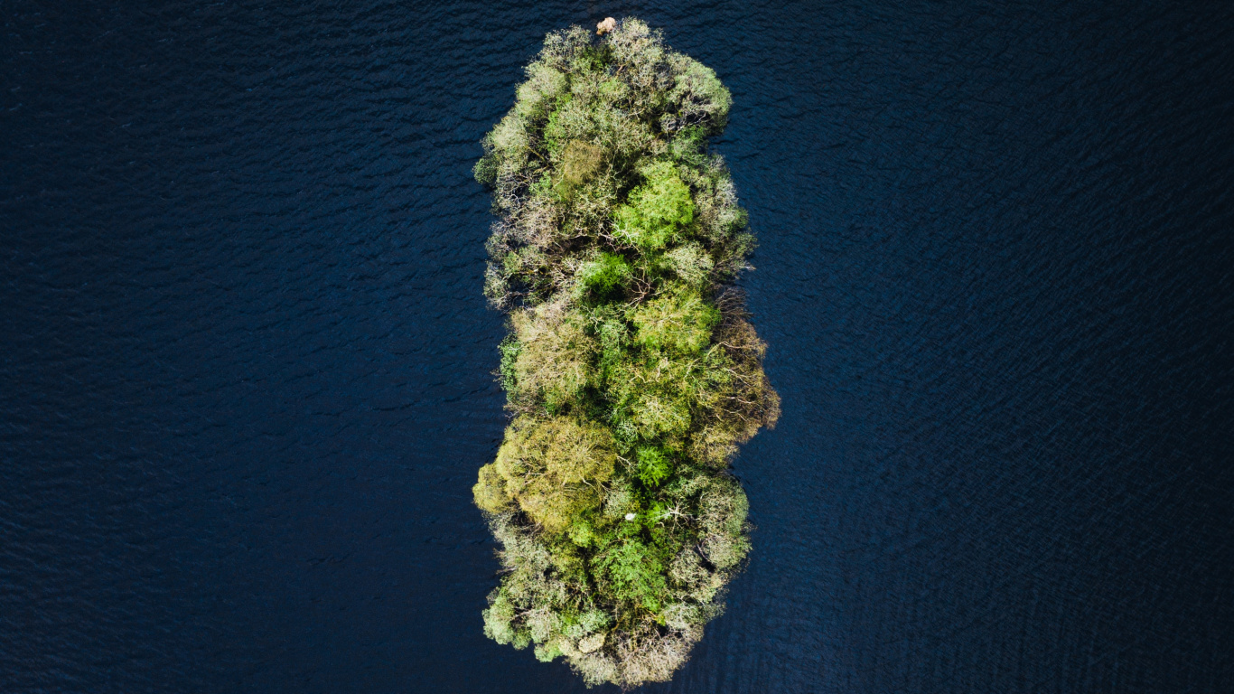 Water, Green, Plant, Rock, Flower. Wallpaper in 1366x768 Resolution