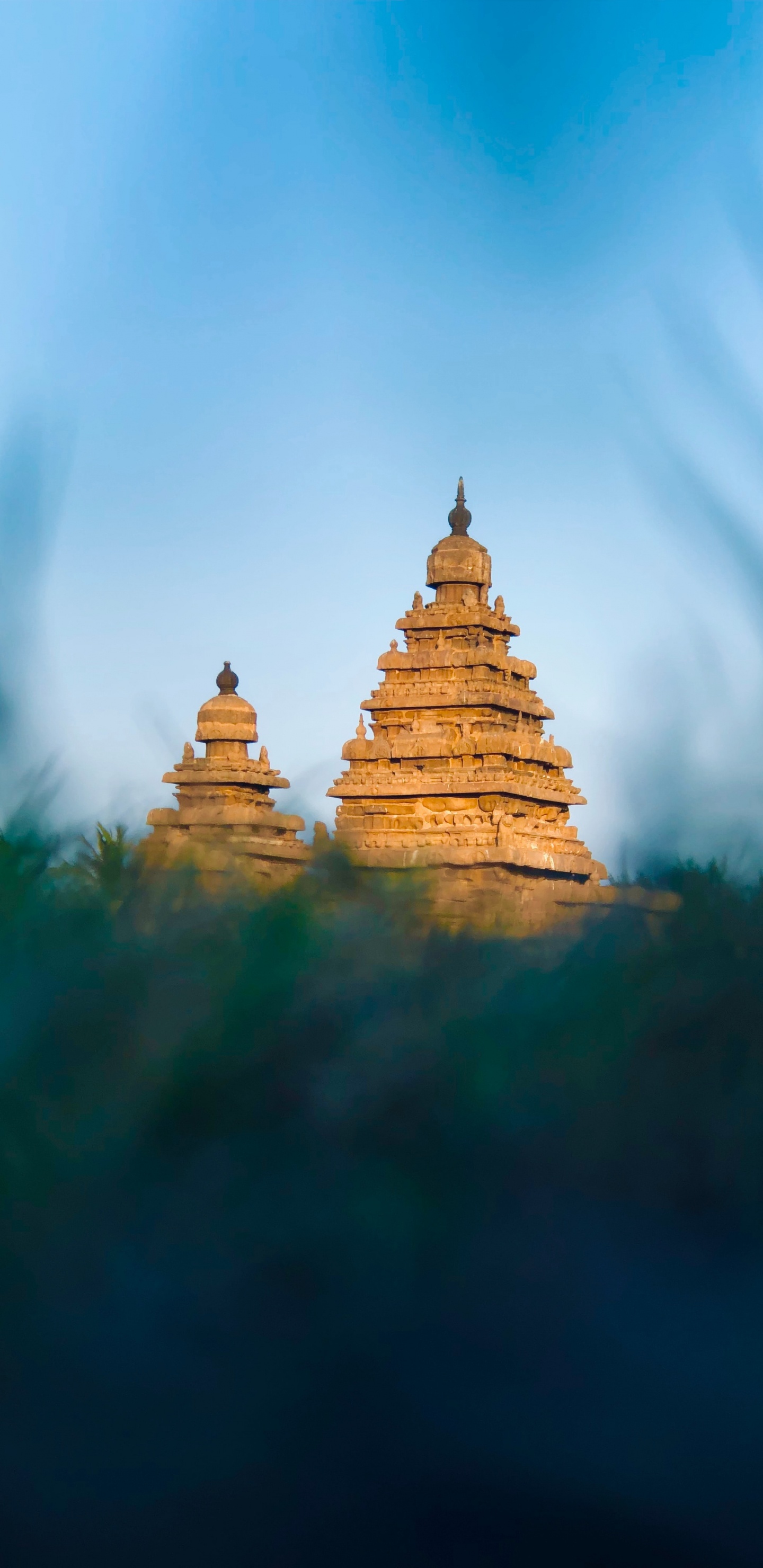 Statue de Bouddha D'or Sous le Ciel Bleu. Wallpaper in 1440x2960 Resolution