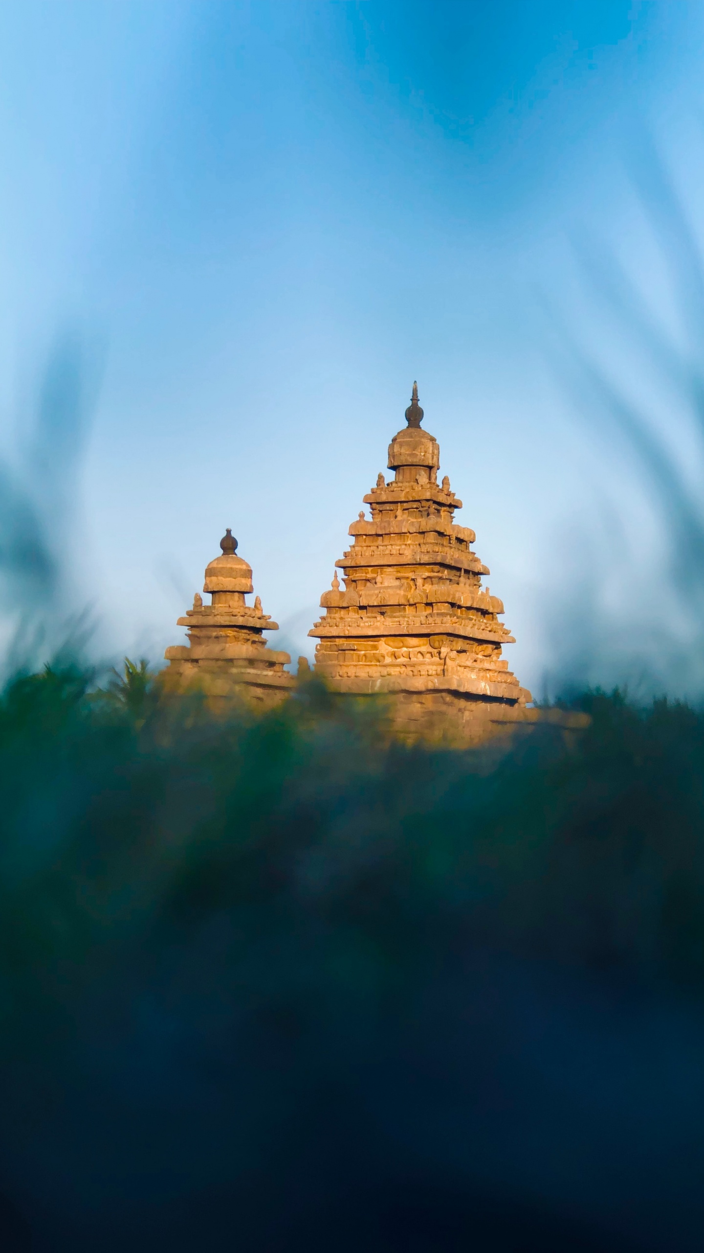 Gold Buddha Statue Under Blue Sky. Wallpaper in 1440x2560 Resolution