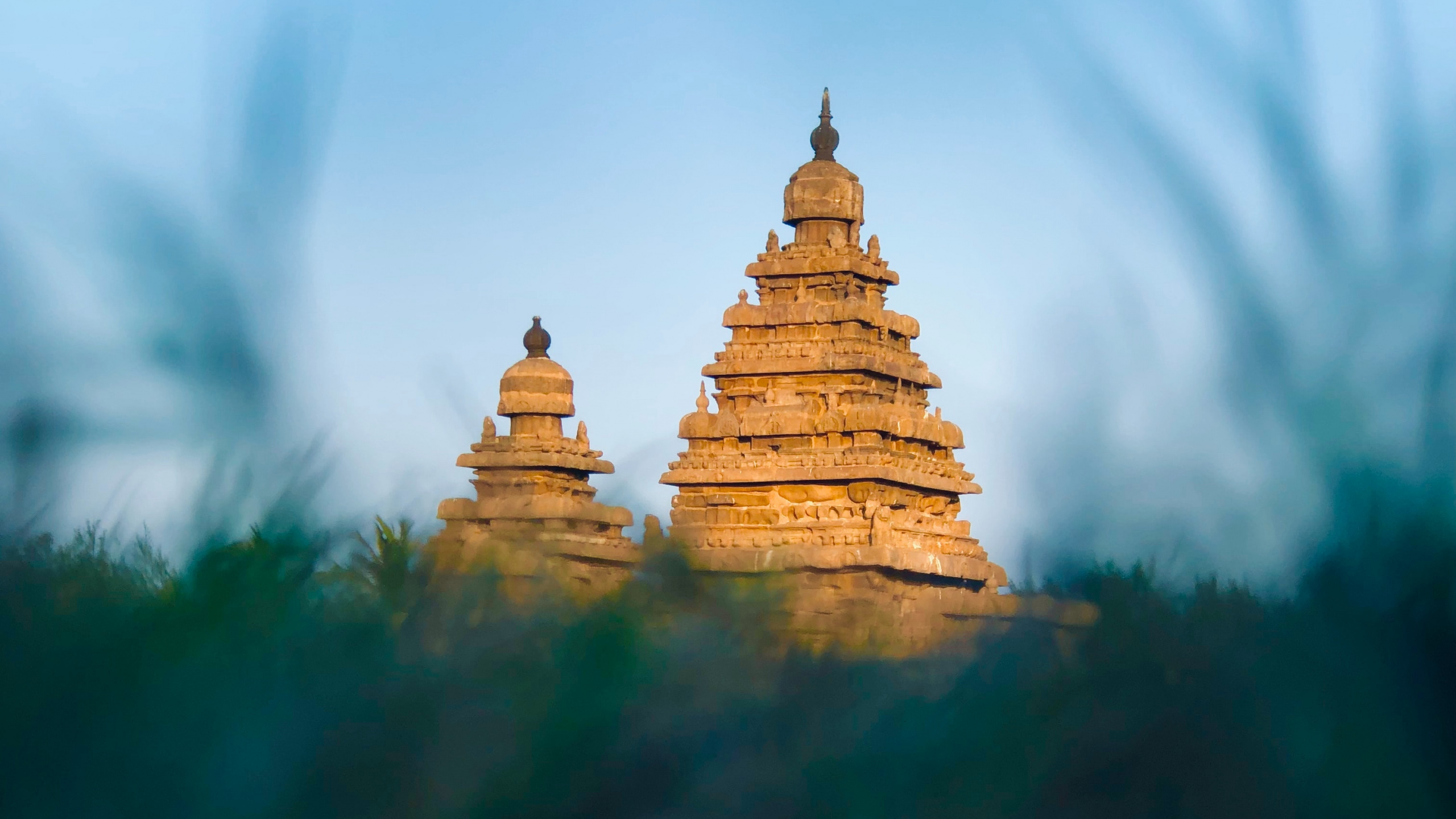 Gold Buddha Statue Under Blue Sky. Wallpaper in 2560x1440 Resolution
