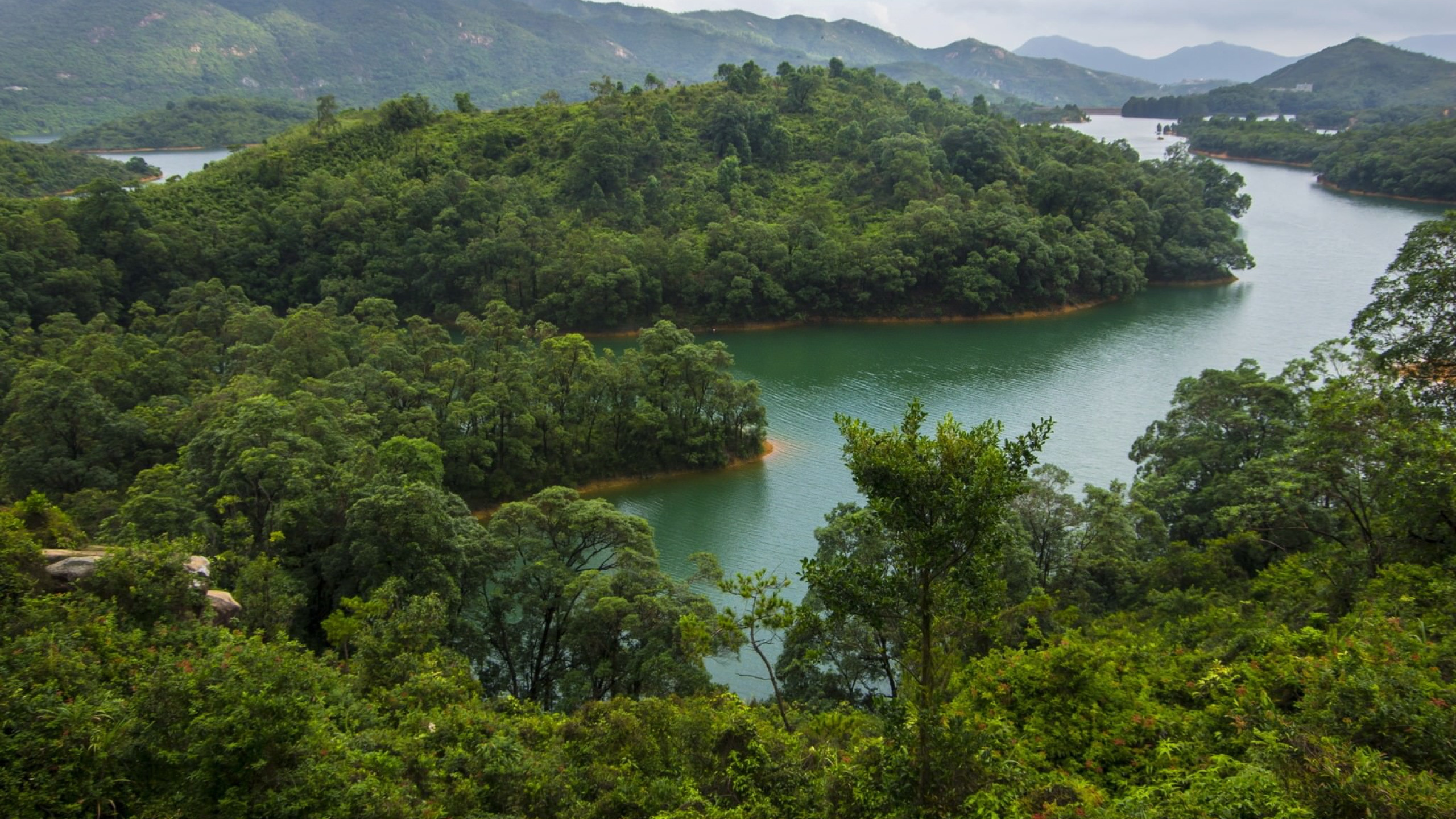 香港, 性质, 山站, 植被, 水资源 壁纸 2560x1440 允许