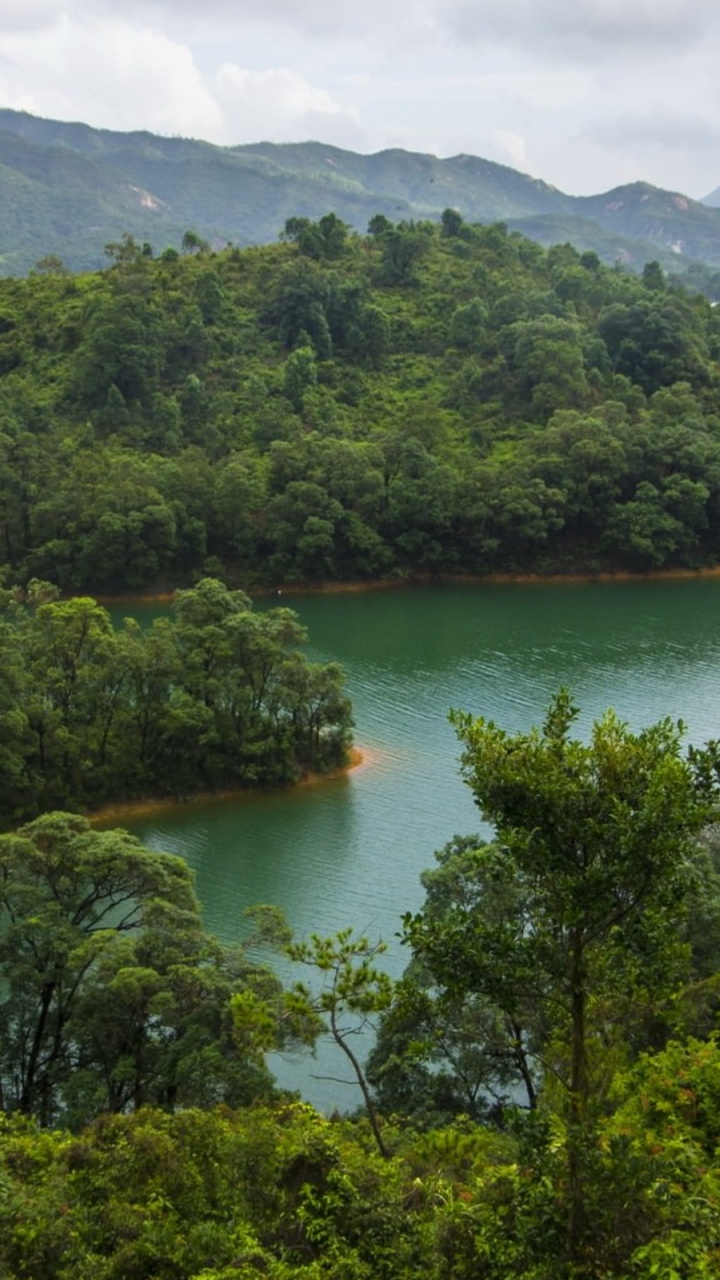 香港, 性质, 山站, 植被, 水资源 壁纸 720x1280 允许