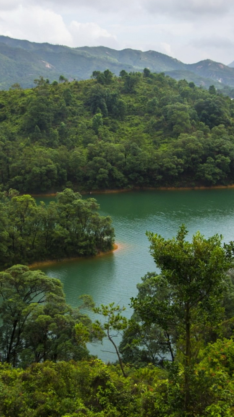 香港, 性质, 山站, 植被, 水资源 壁纸 750x1334 允许
