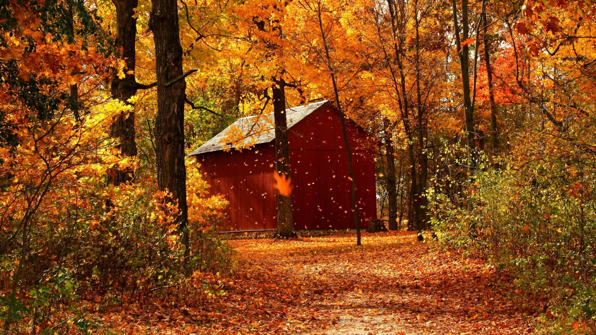 Rotes Und Braunes Holzhaus Umgeben Von Bäumen. Wallpaper in 1920x1080 Resolution