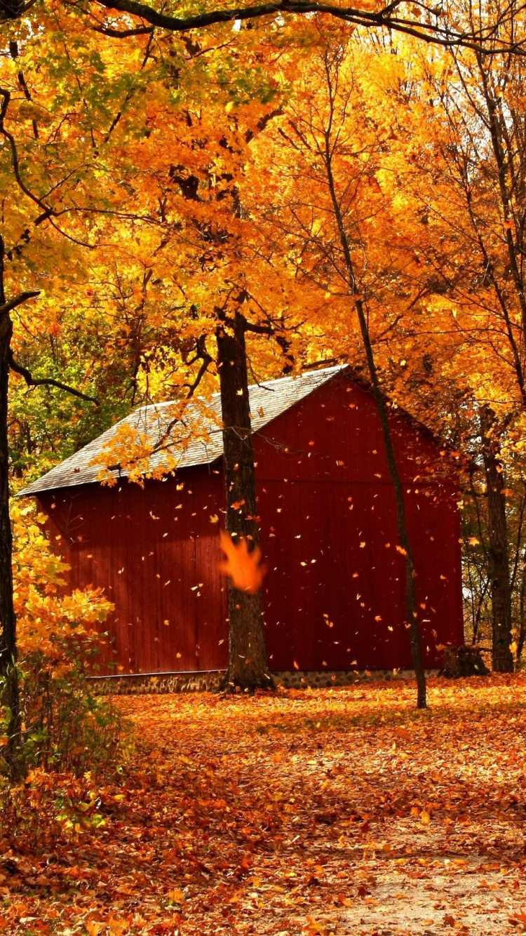 Rotes Und Braunes Holzhaus Umgeben Von Bäumen. Wallpaper in 750x1334 Resolution