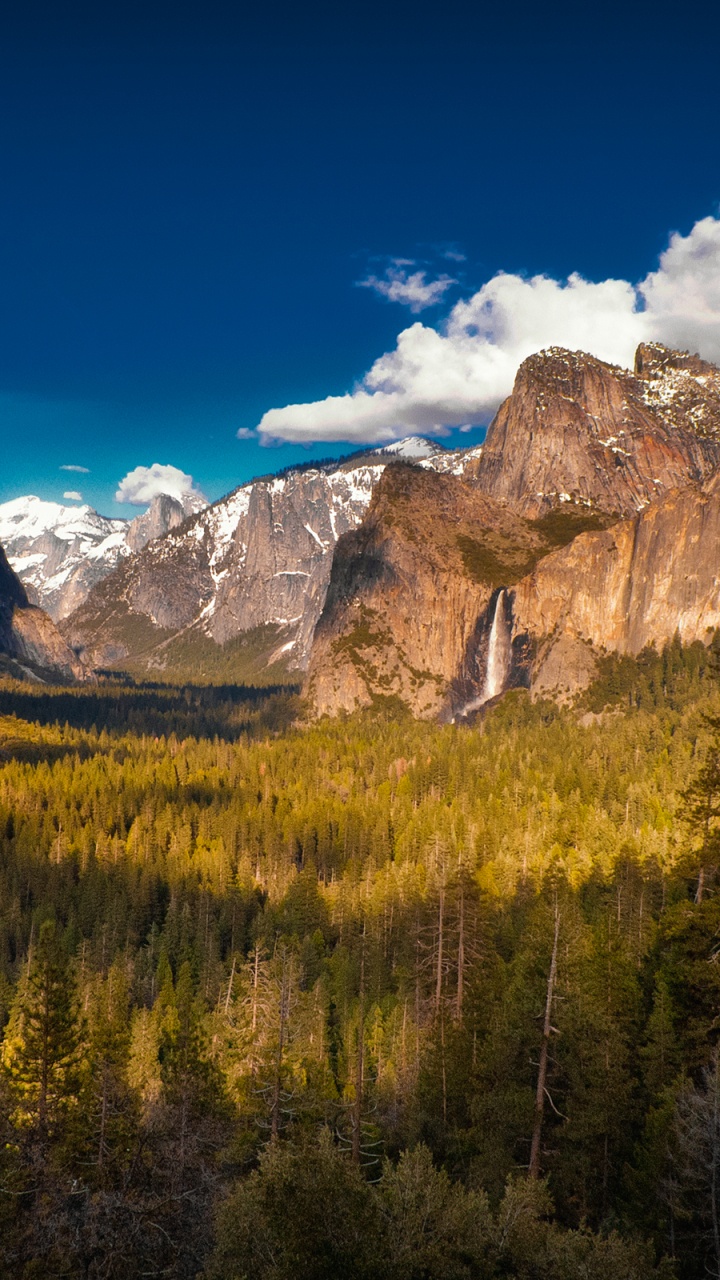 Green Trees Near Brown Mountain Under Blue Sky During Daytime. Wallpaper in 720x1280 Resolution