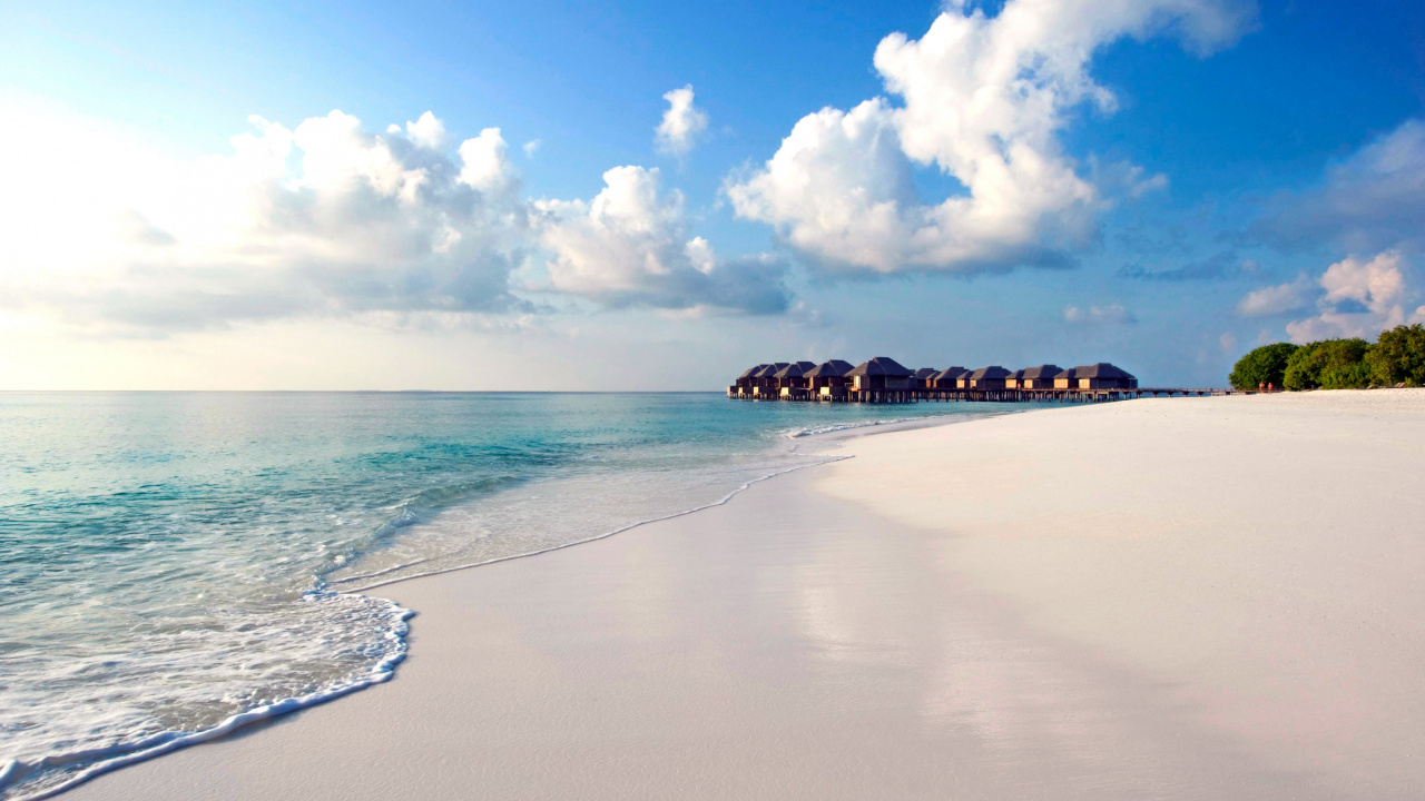 人体内的水, 大海, 海洋, 岸边, 海岸 壁纸 1280x720 允许