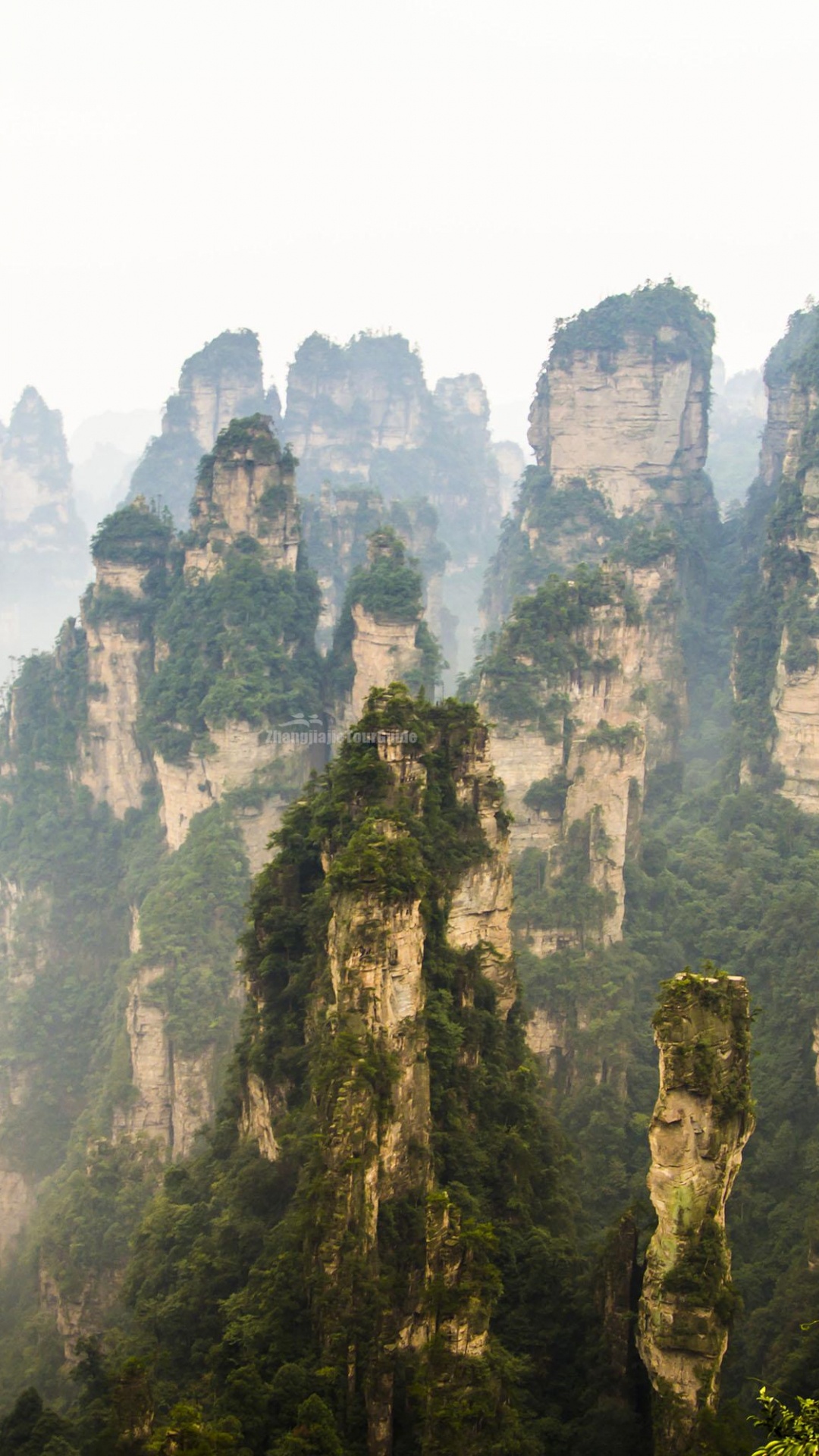Montaña Rocosa Verde y Marrón Bajo un Cielo Blanco Durante el Día. Wallpaper in 1080x1920 Resolution