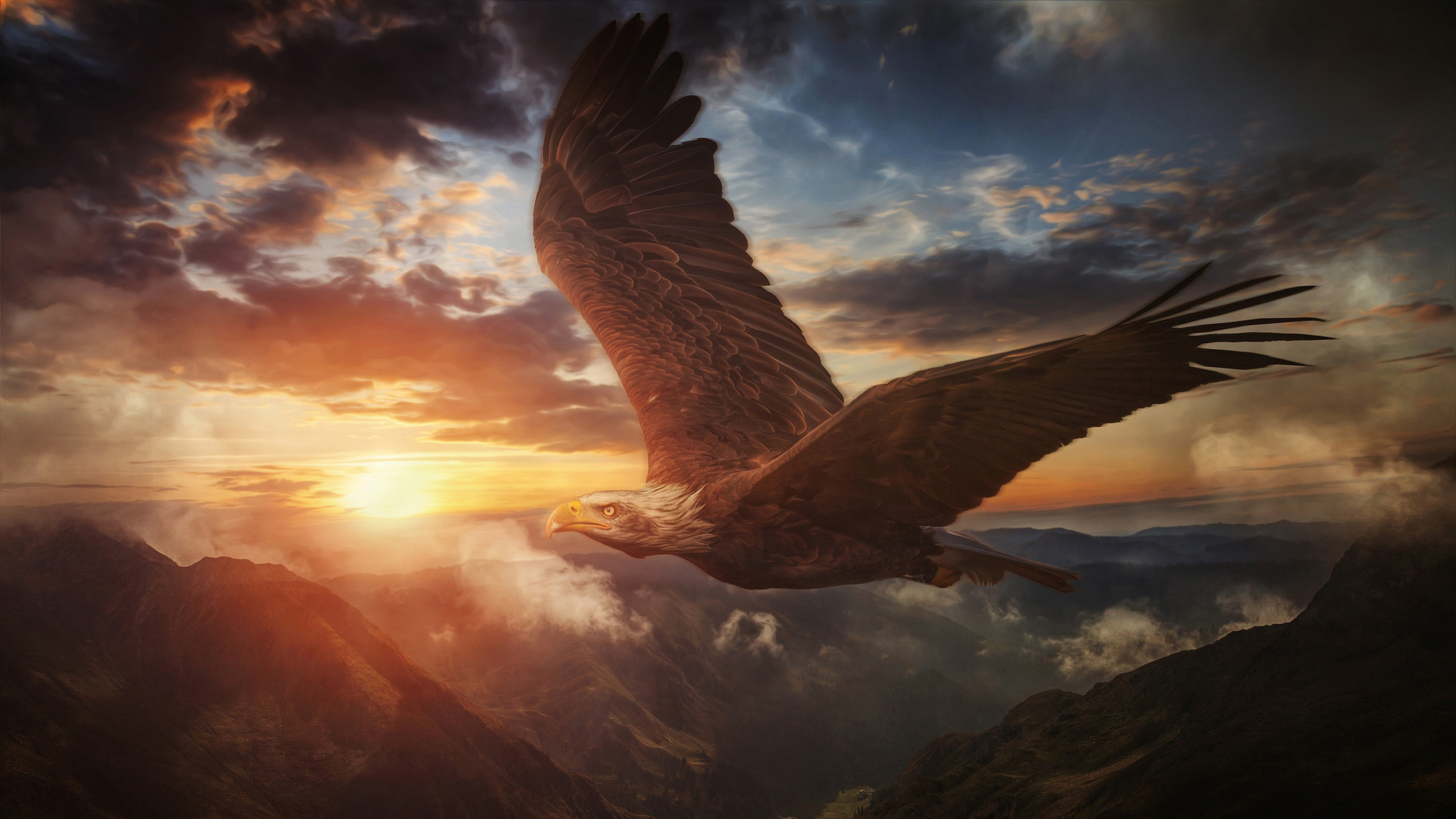 Cloud, Bird, Atmosphere, Beak, Sunlight. Wallpaper in 2560x1440 Resolution