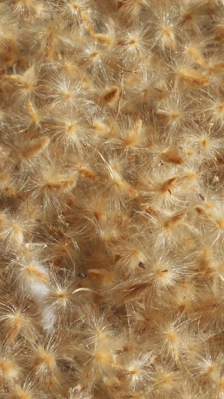 Textile Fourrure Marron et Blanc. Wallpaper in 720x1280 Resolution