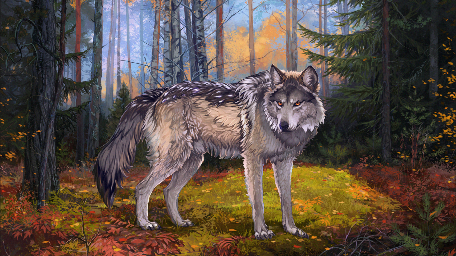 狼, 野生动物, Saarloos那只狼狗, 红色狼, 那只狼狗 壁纸 1920x1080 允许