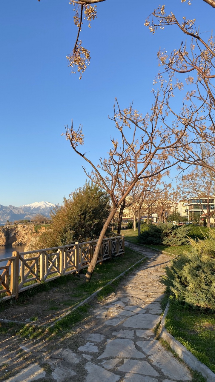 Ciencia, Biología, la Física, Agua, la Vegetación. Wallpaper in 720x1280 Resolution