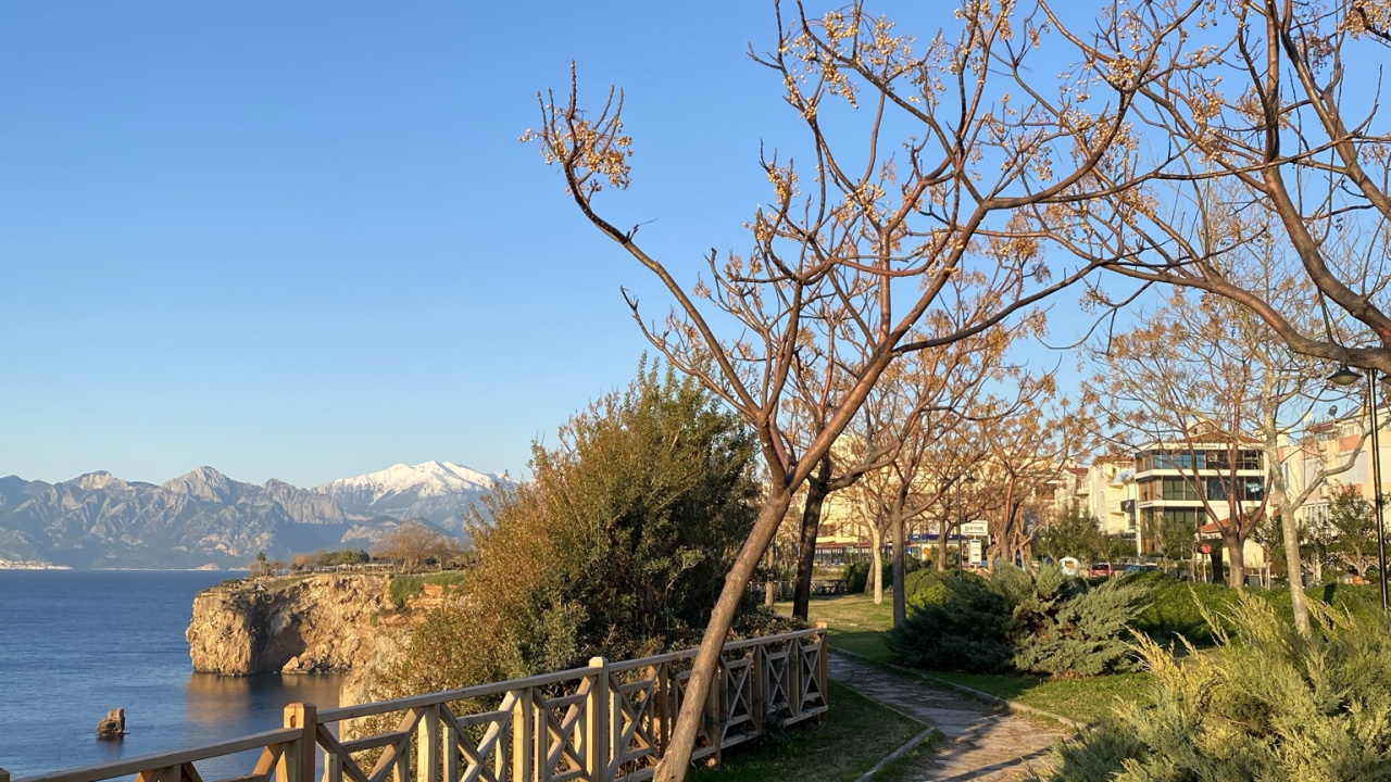 科学, 生物学, 物理学, 植被, 阳光 壁纸 1280x720 允许