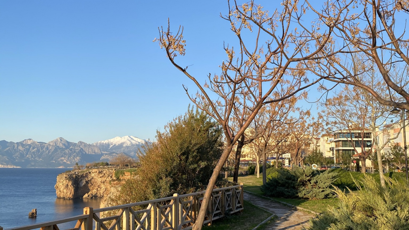 Sciences, Biologie, Physique, Eau, Éclairage. Wallpaper in 1366x768 Resolution