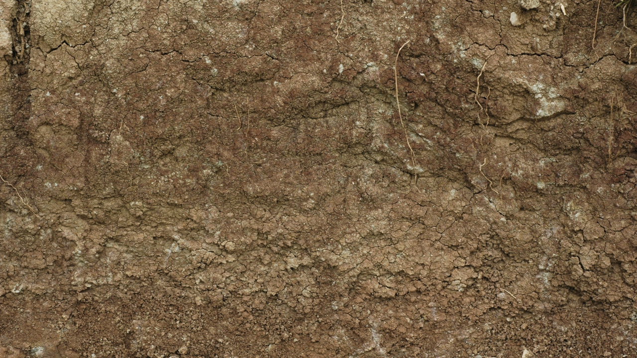 Brown and Black Dirt Ground. Wallpaper in 1280x720 Resolution