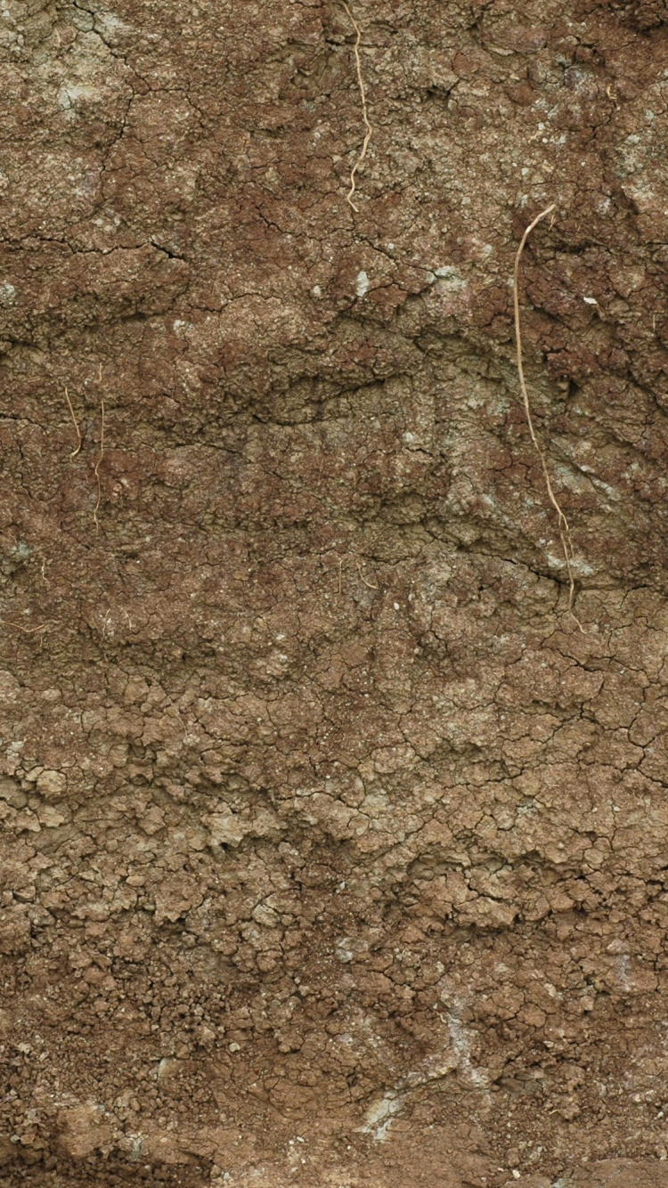 Brown and Black Dirt Ground. Wallpaper in 750x1334 Resolution