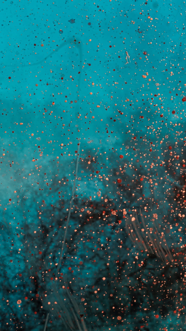 绿色的, 水上, 苹果它, 2880x1800, 纹理 壁纸 720x1280 允许