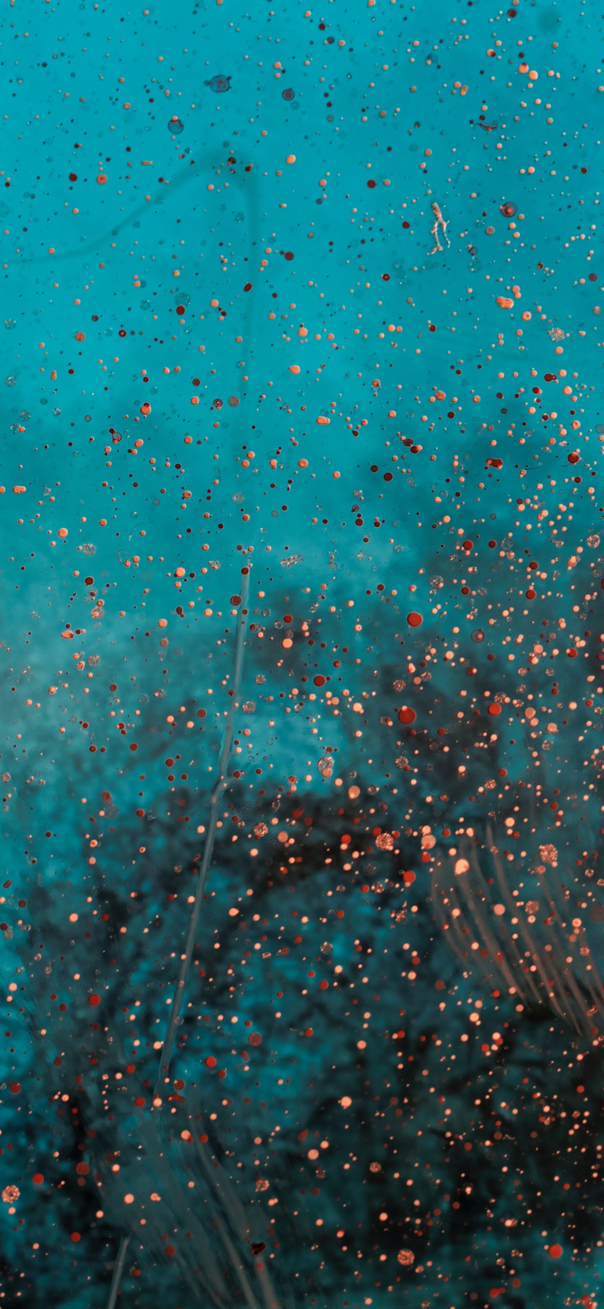 Peinture Abstraite Bleue et Blanche. Wallpaper in 1242x2688 Resolution