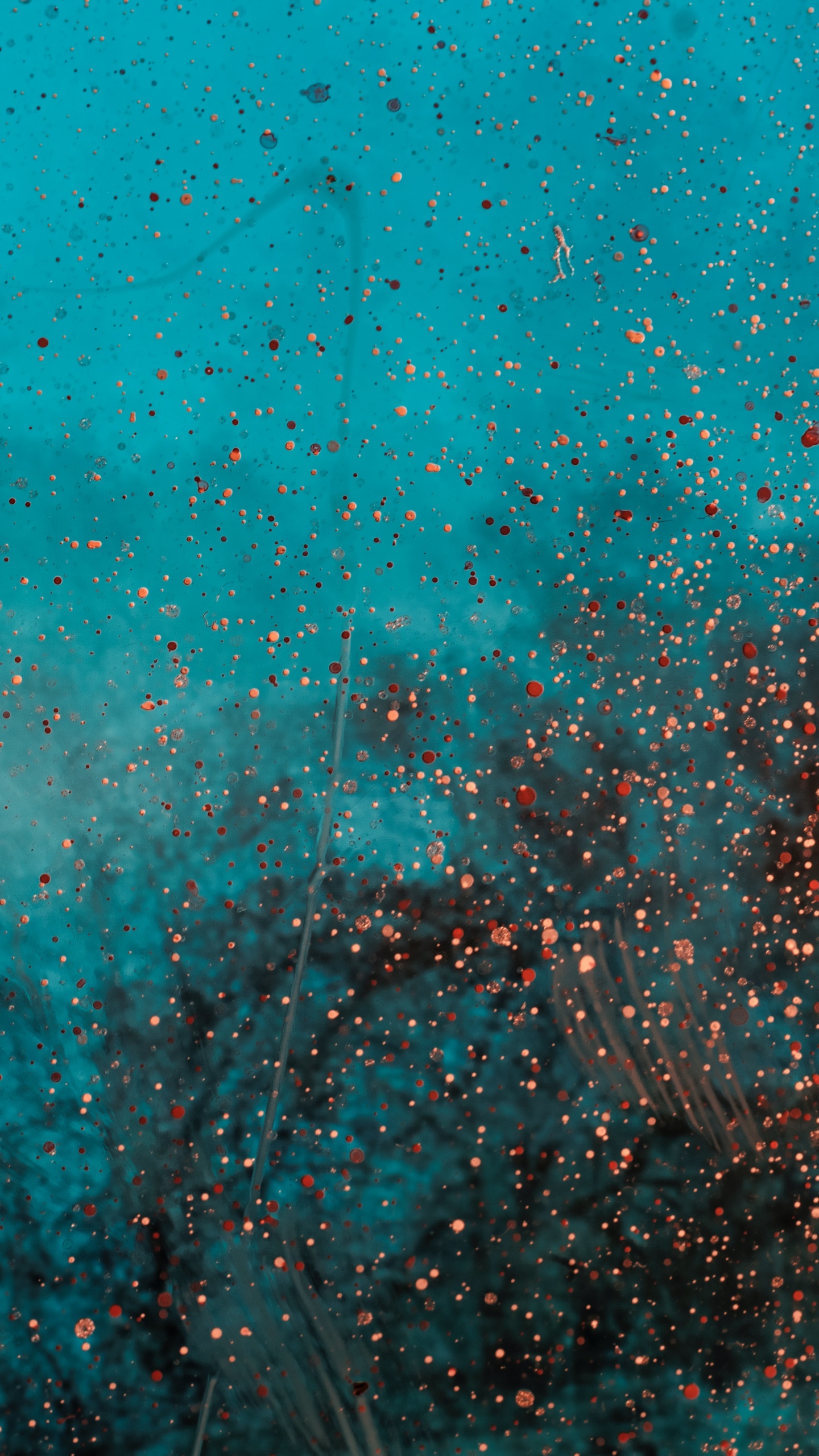 Peinture Abstraite Bleue et Blanche. Wallpaper in 1440x2560 Resolution