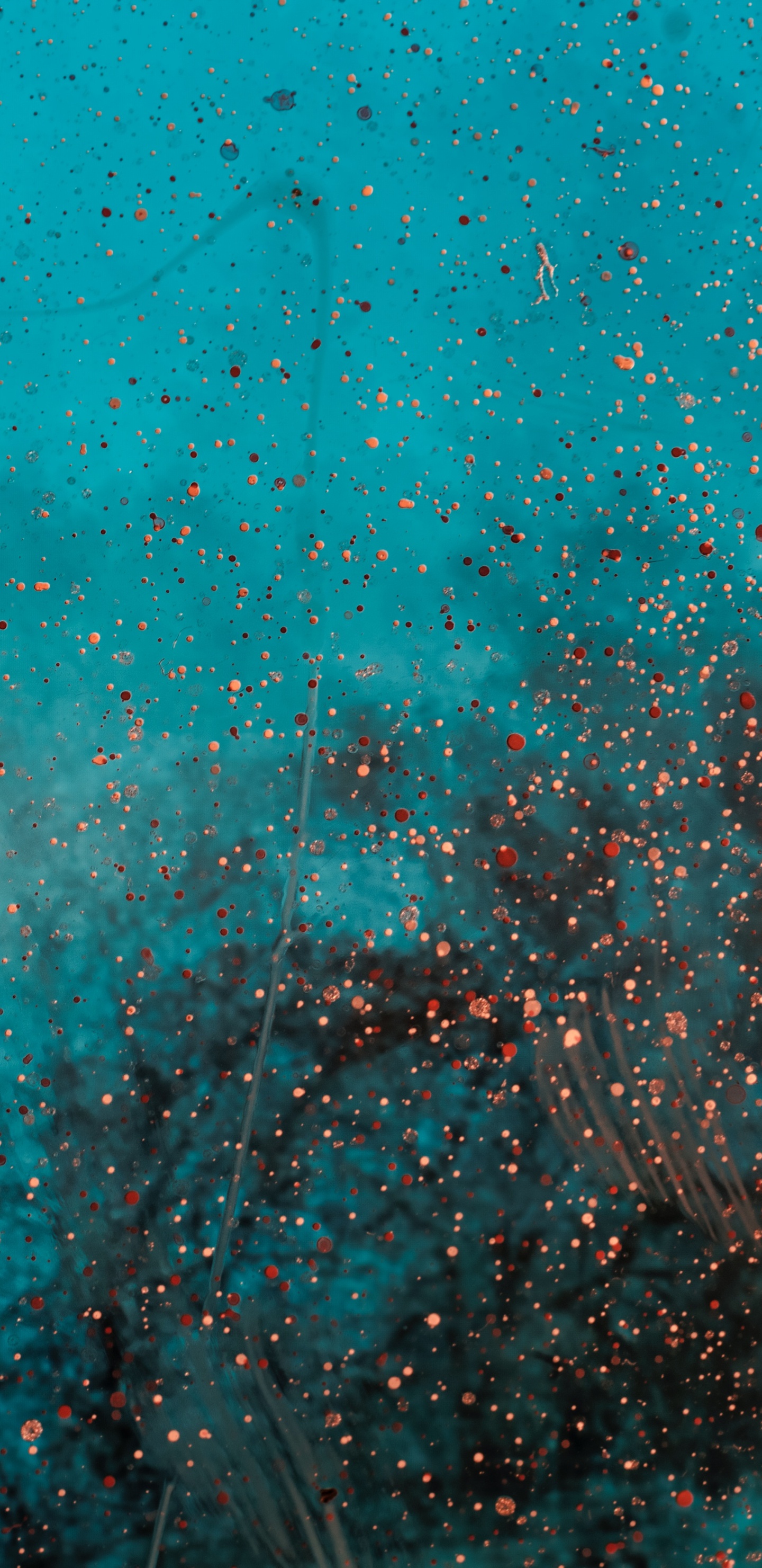 Peinture Abstraite Bleue et Blanche. Wallpaper in 1440x2960 Resolution