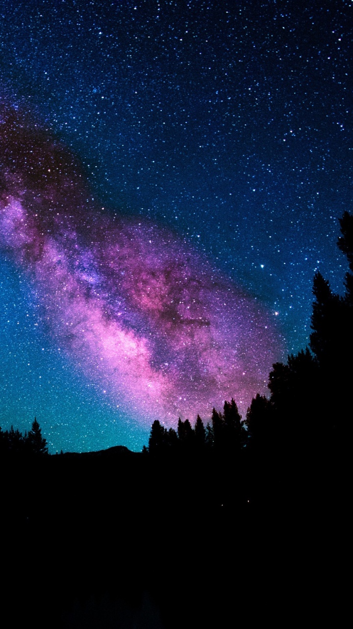 银河系, 明星, 夜晚的天空, 天文学对象, 地球的气氛 壁纸 720x1280 允许