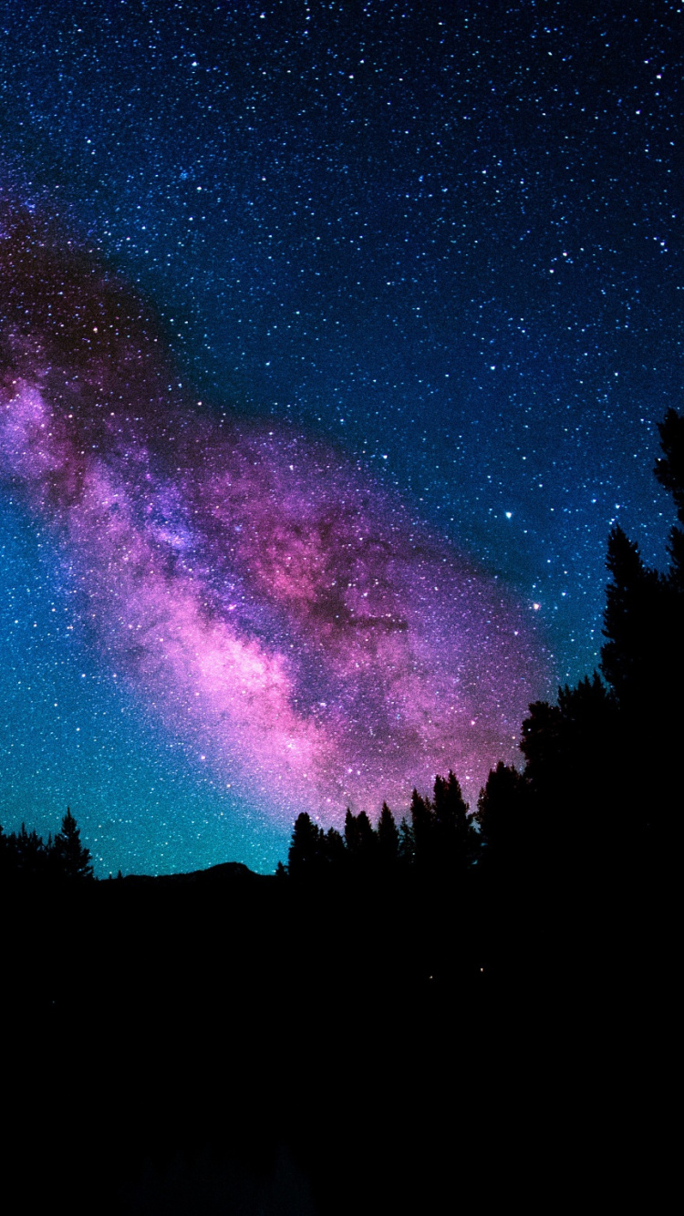银河系, 明星, 夜晚的天空, 天文学对象, 地球的气氛 壁纸 750x1334 允许