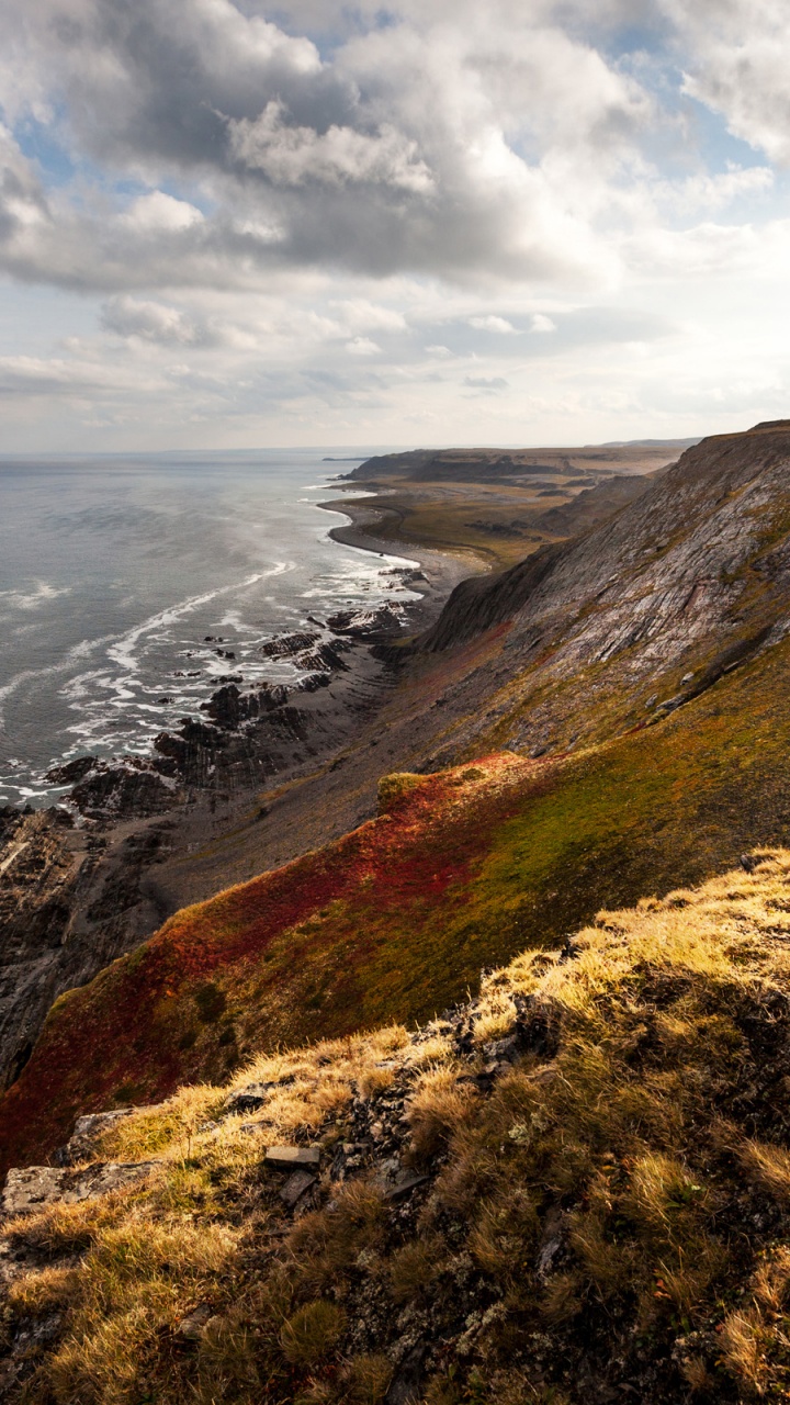 Brown and Green Grass Field Beside Body of Water Under White Clouds and Blue Sky During. Wallpaper in 720x1280 Resolution