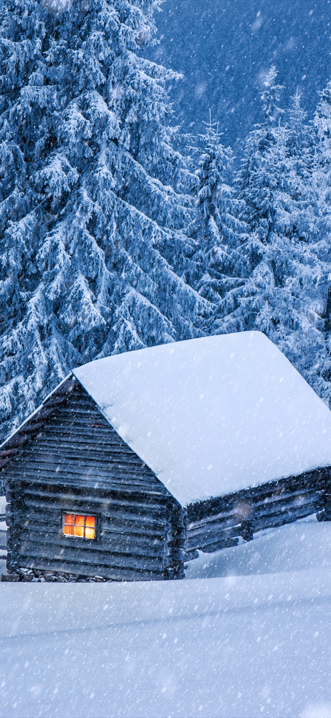 Maison en Bois Brune Sur un Sol Couvert de Neige Près Des Arbres Pendant la Journée. Wallpaper in 1125x2436 Resolution