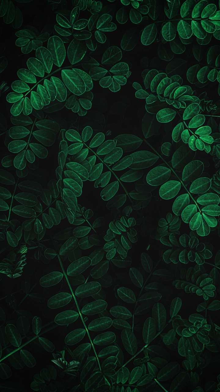 IOS, IOS 13, Apple, Feuille, Plante Terrestre. Wallpaper in 720x1280 Resolution