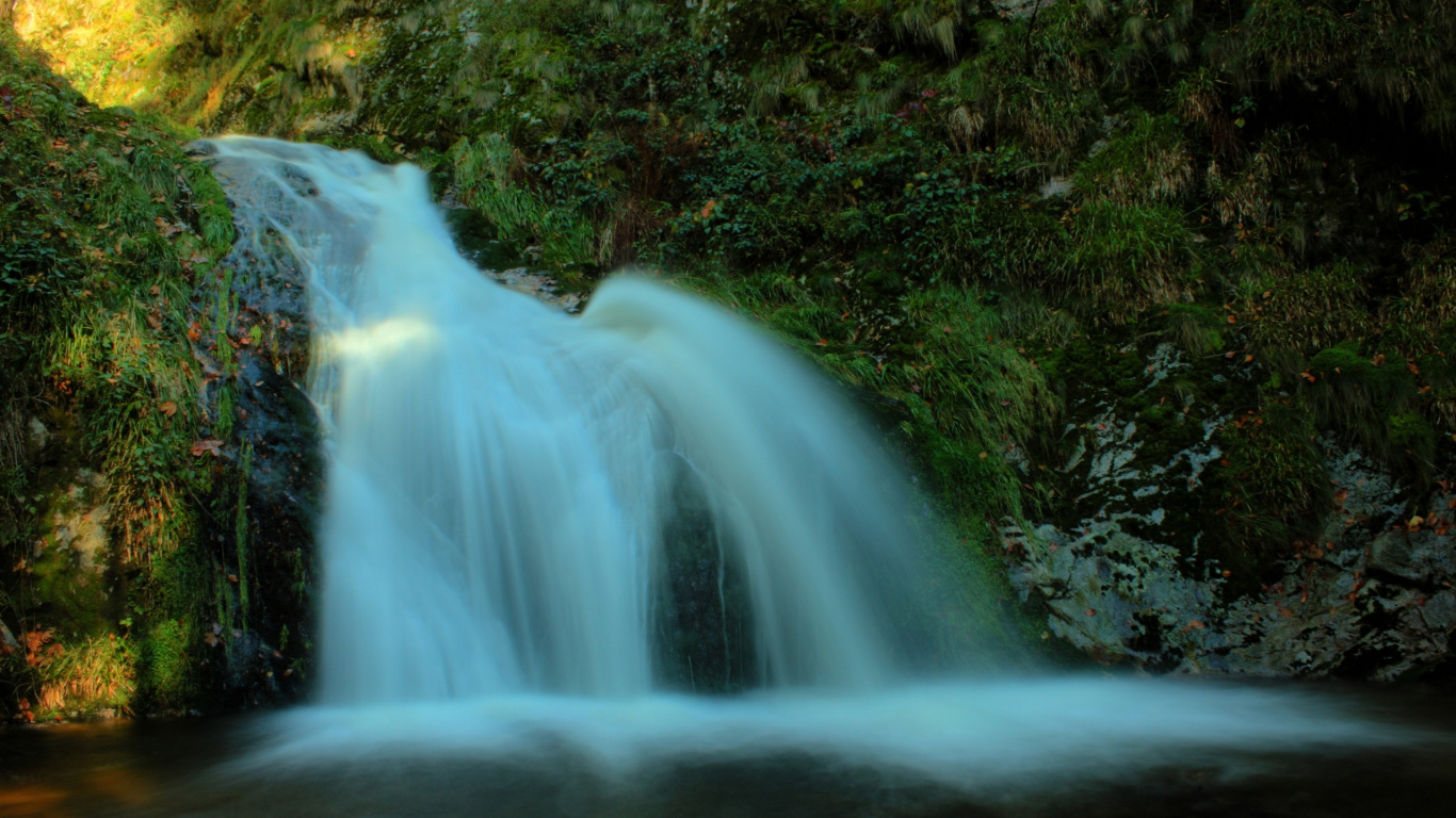 el Agua Cae en el Bosque. Wallpaper in 1366x768 Resolution