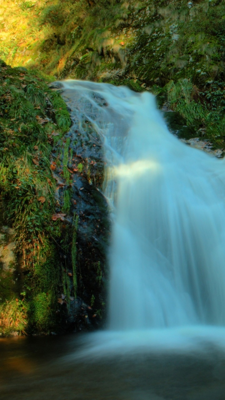 Water Falls in The Forest. Wallpaper in 720x1280 Resolution