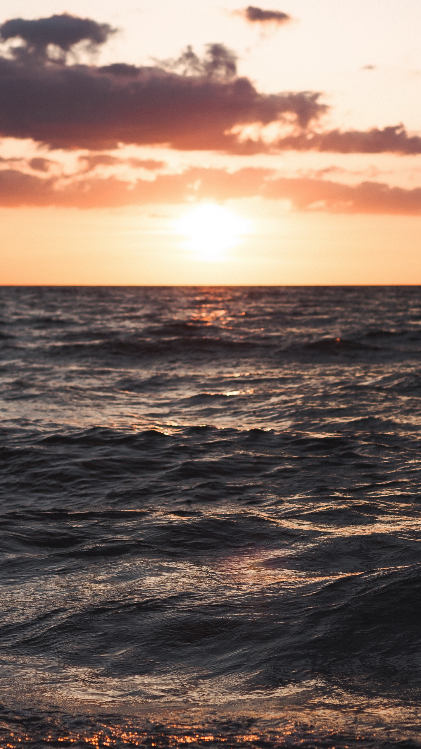 Sea, Denmark, Sunset, Beach, Cloud. Wallpaper in 1440x2560 Resolution