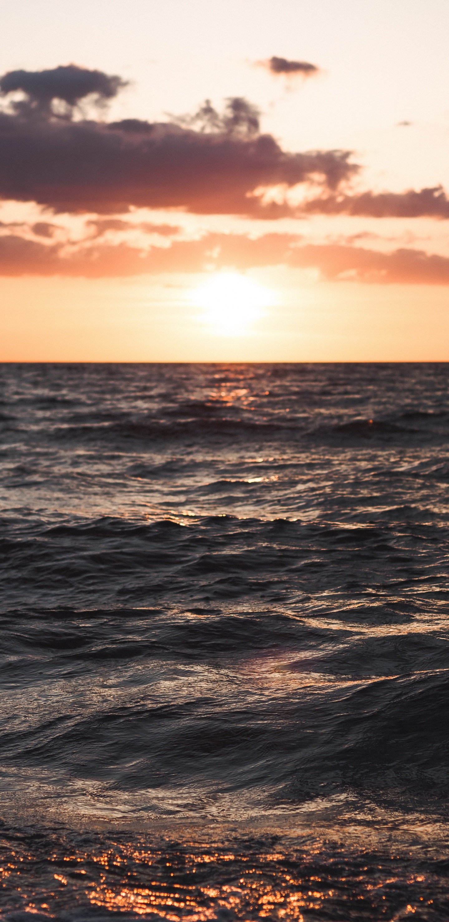 Sea, Denmark, Sunset, Beach, Cloud. Wallpaper in 1440x2960 Resolution