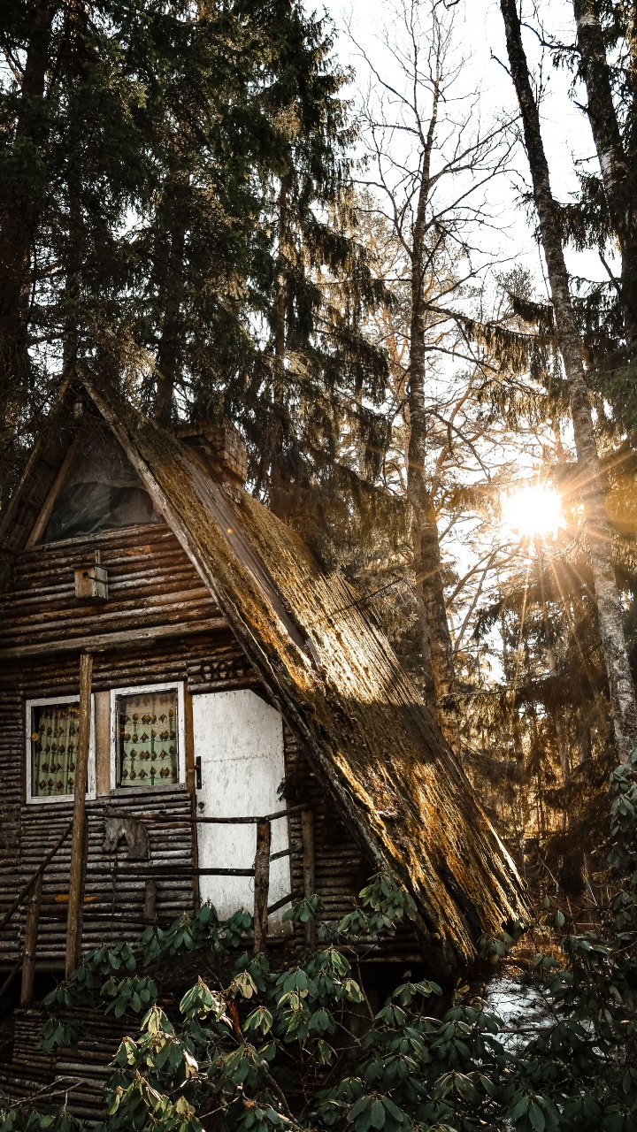 Building, Tree, House, Home, Light. Wallpaper in 720x1280 Resolution