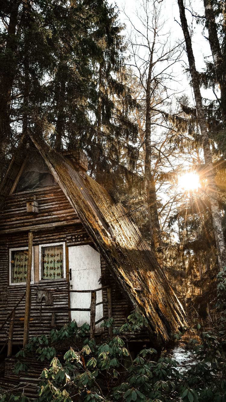 Building, Tree, House, Home, Light. Wallpaper in 750x1334 Resolution